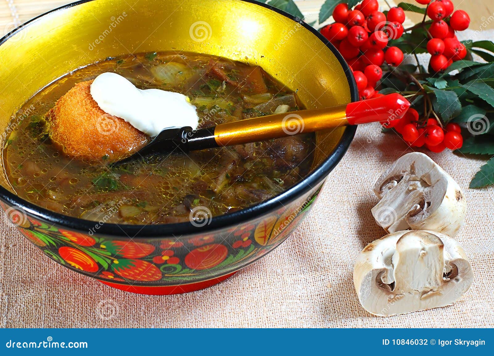 Mushroom soup stock photo. Image of mushrooms, carbohydrates 10846032