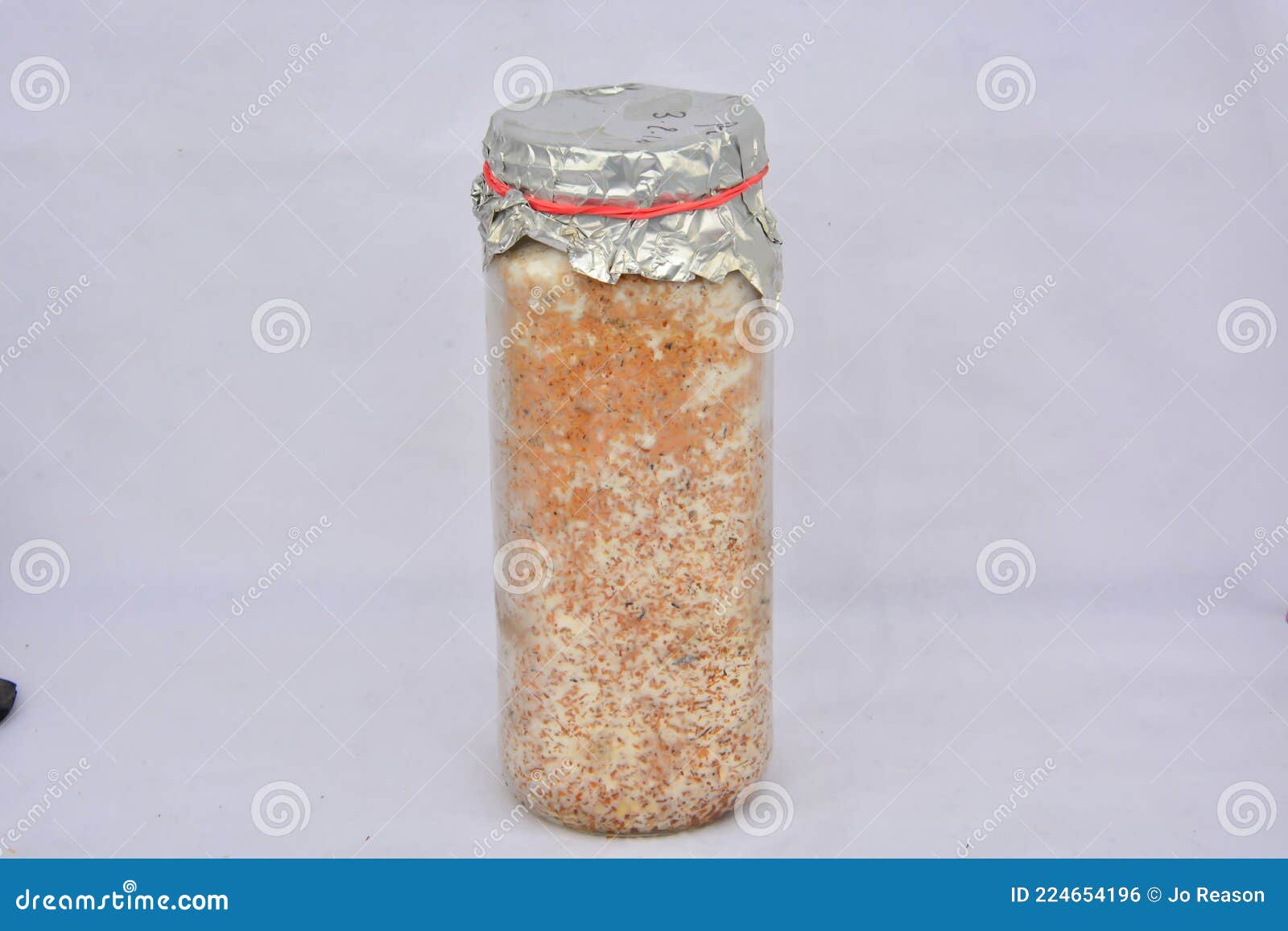 Mushroom spores in a jar stock photo. Image of gourmet 224654196