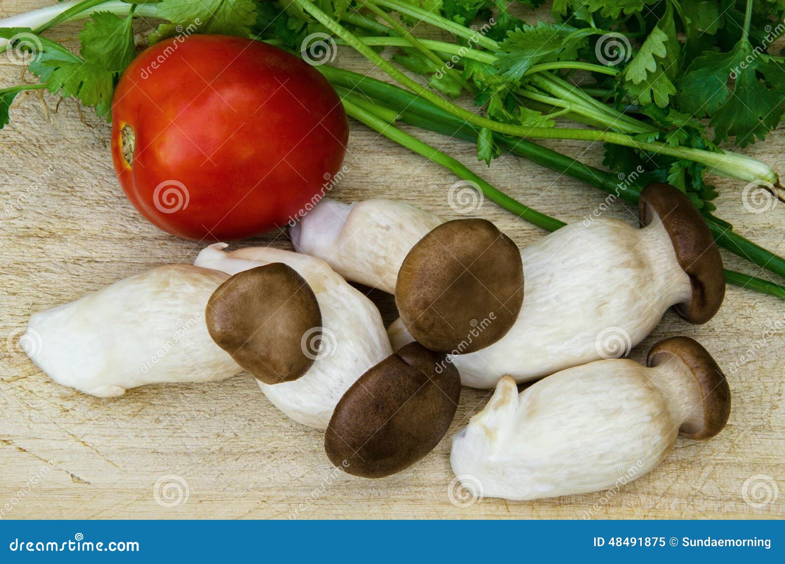 Mushroom and tomato stock image. Image of mushroom, tomato 48491875