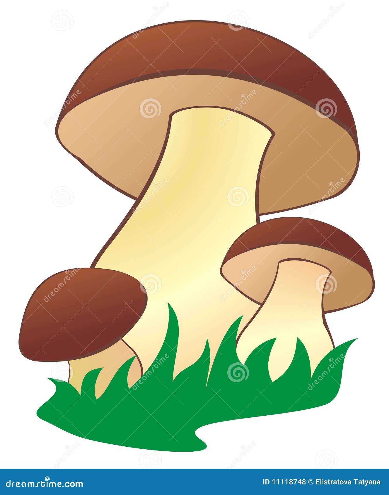 Mushroom2 stock vector. Illustration of brown, mushroom - 11118748