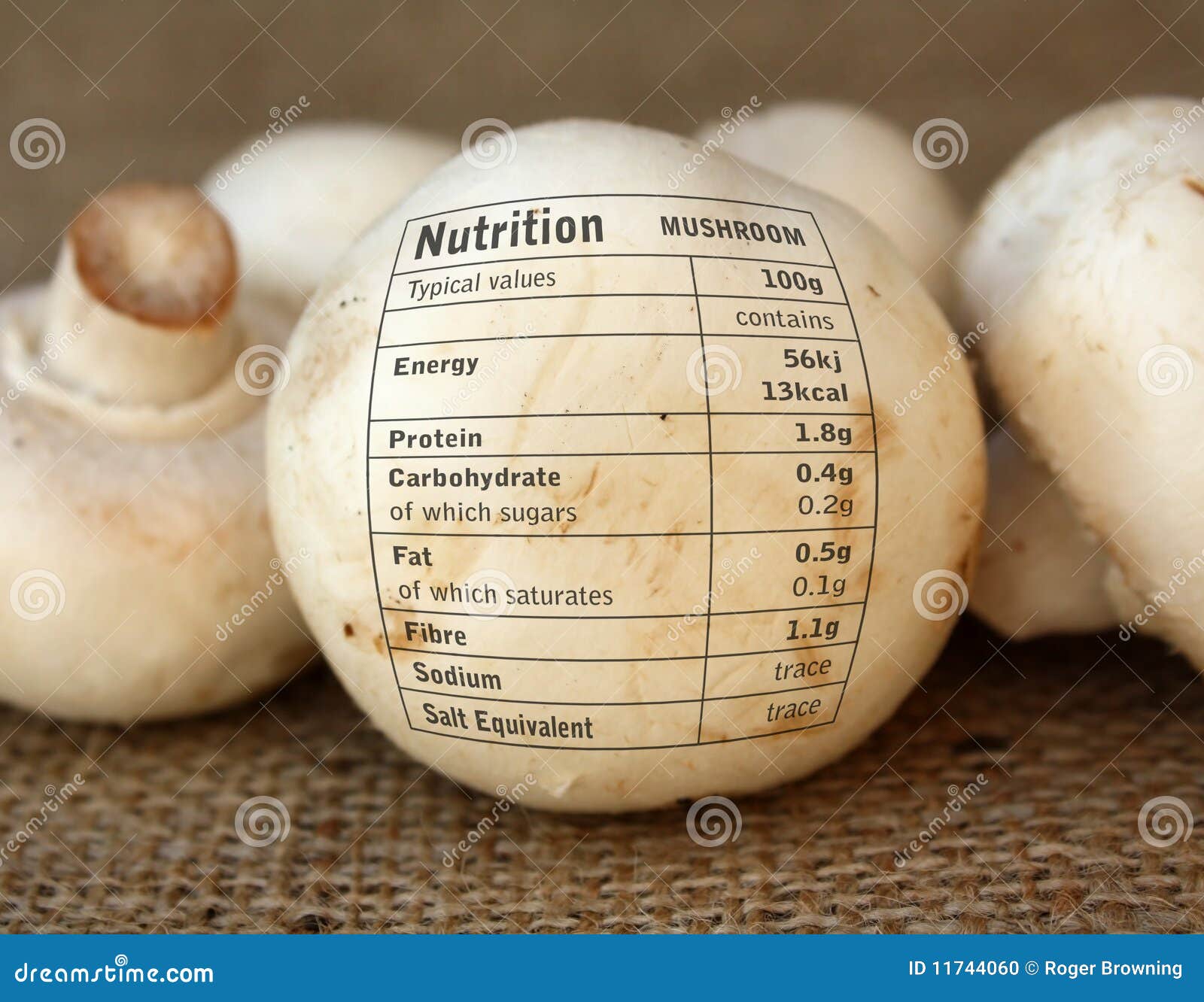 Mushrooms Stock Photo Image Of Nutrition Cloth Carbohydrates 11744060 mushrooms-stock-photo-image-of-nutrition-cloth-carbohydrates-11744060