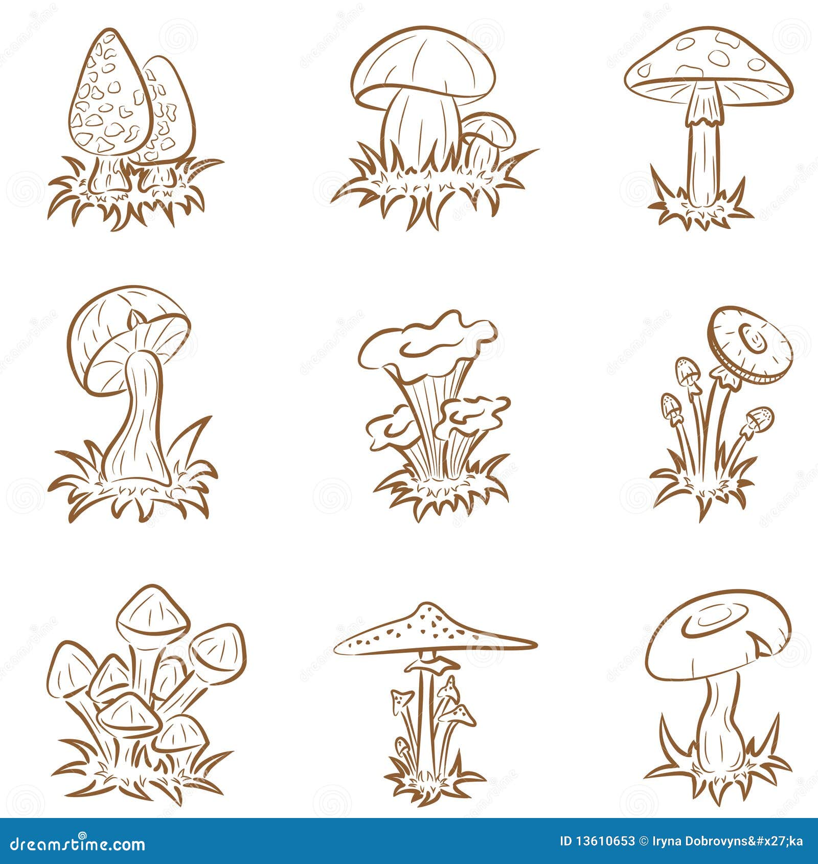 mushrooms