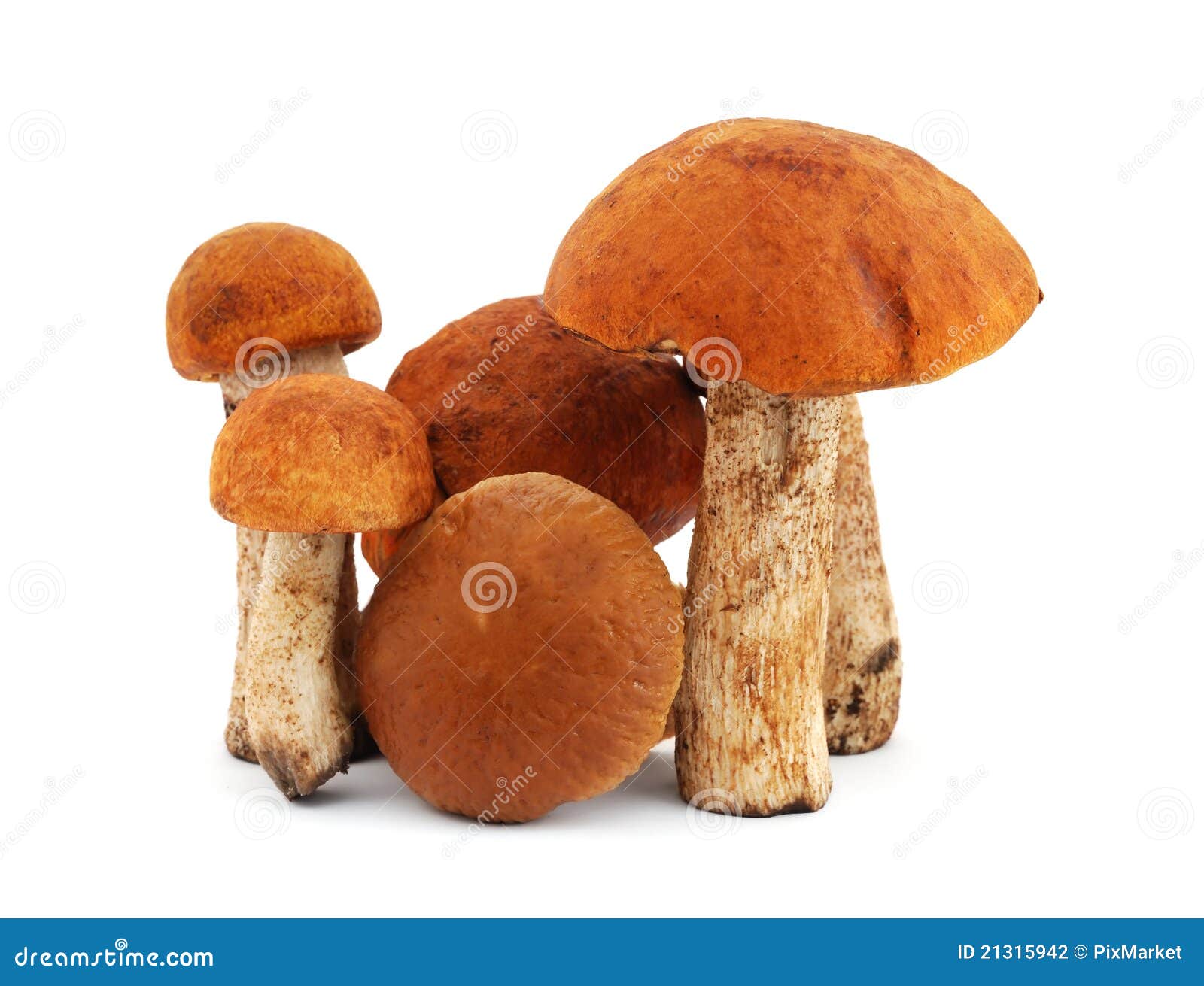 mushrooms