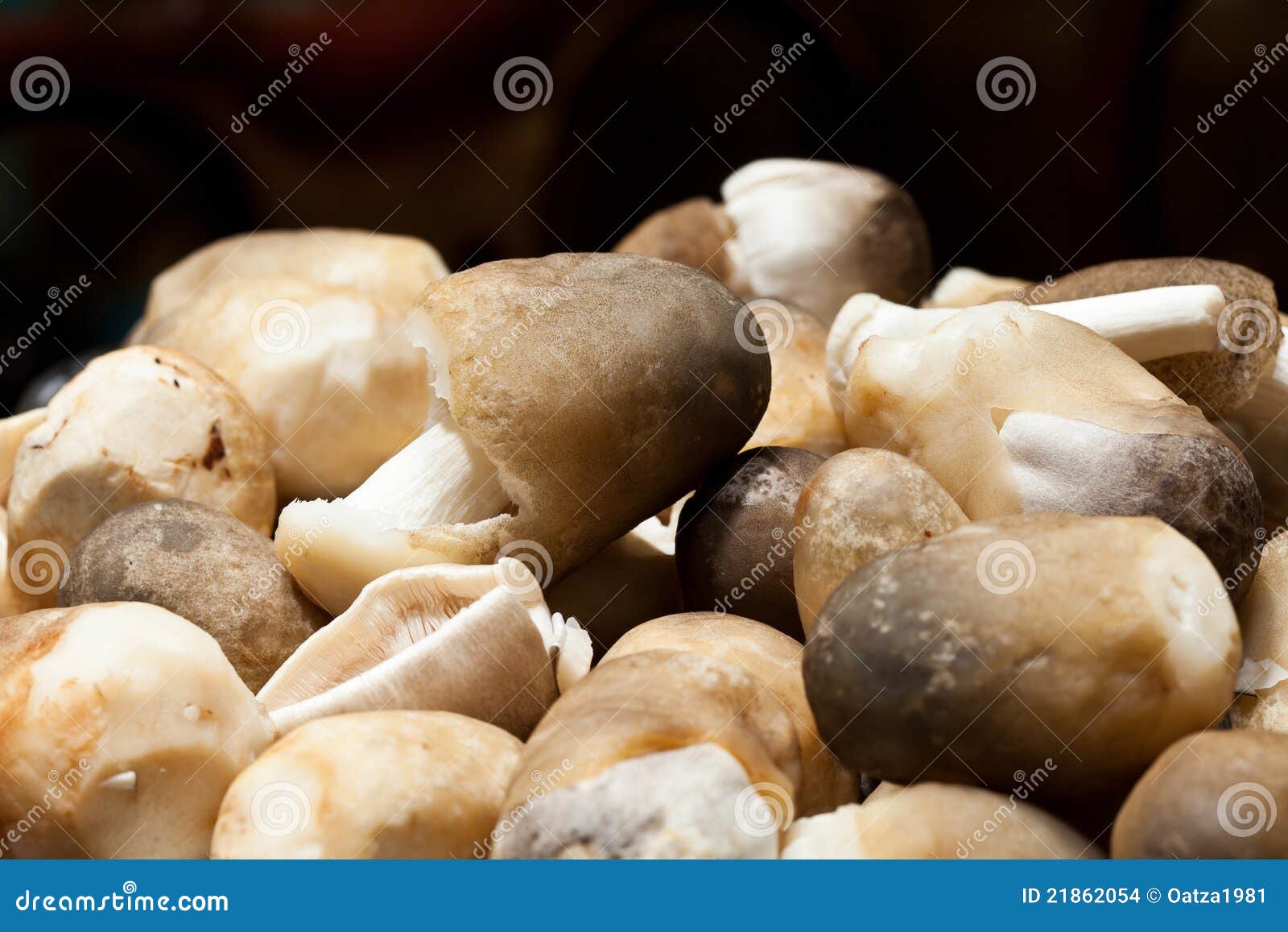 1,752 Straw Mushrooms Stock Photos - Free & Royalty-Free Stock
