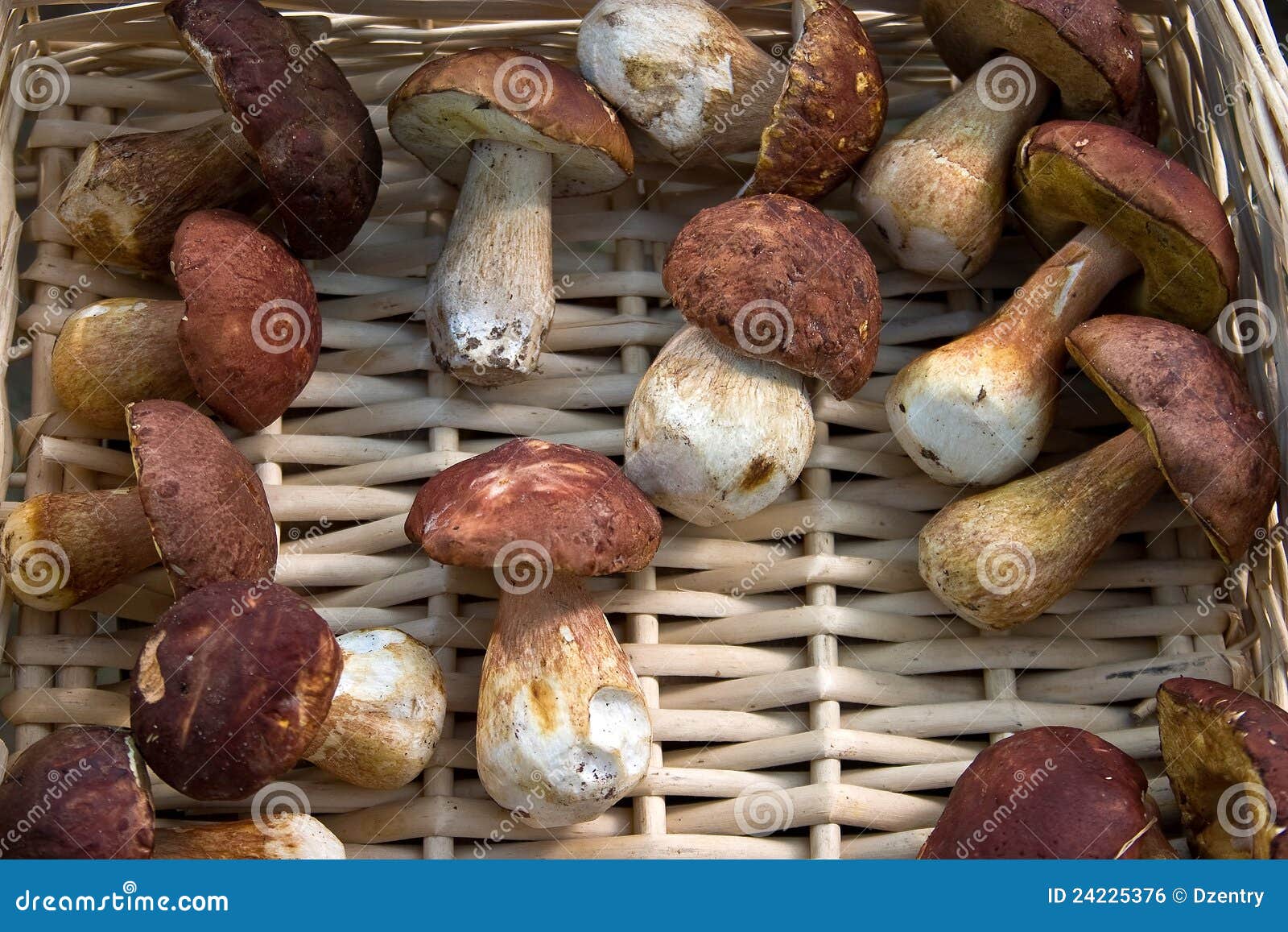 Mushrooms in a wicker basket