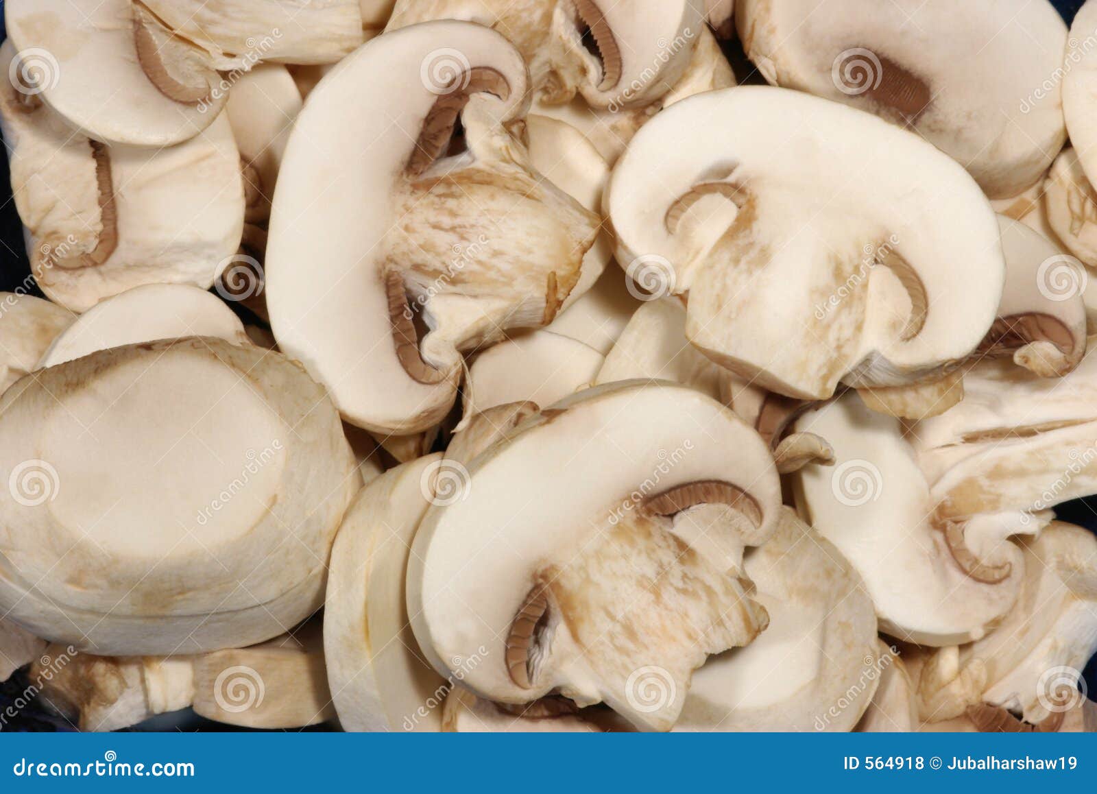 File:Boletus edulis herkkutatti halki.jpg - Wikipedia