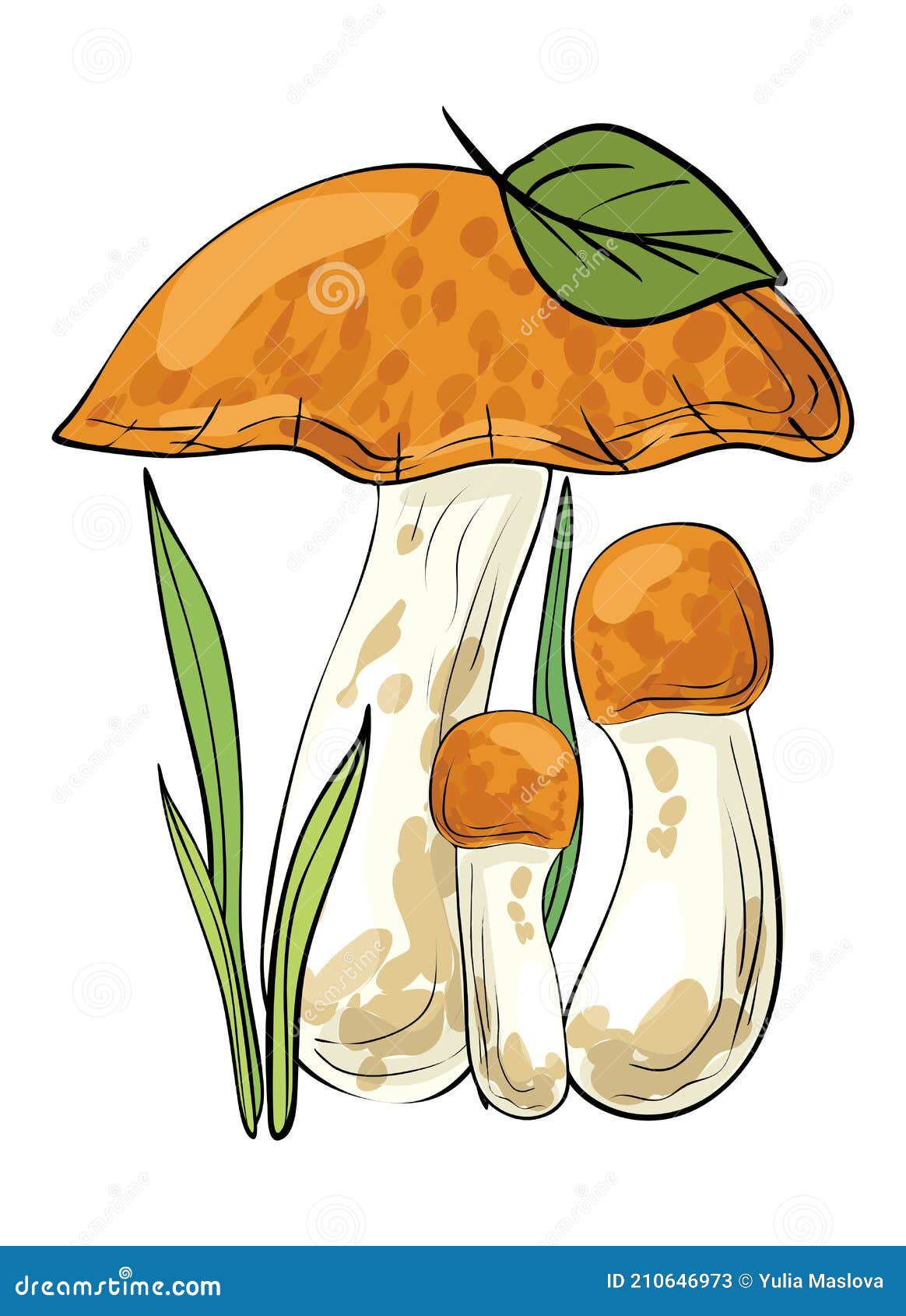 Mushrooms. Colored, Clip Art, Line Art. Isolated Illustration Stock