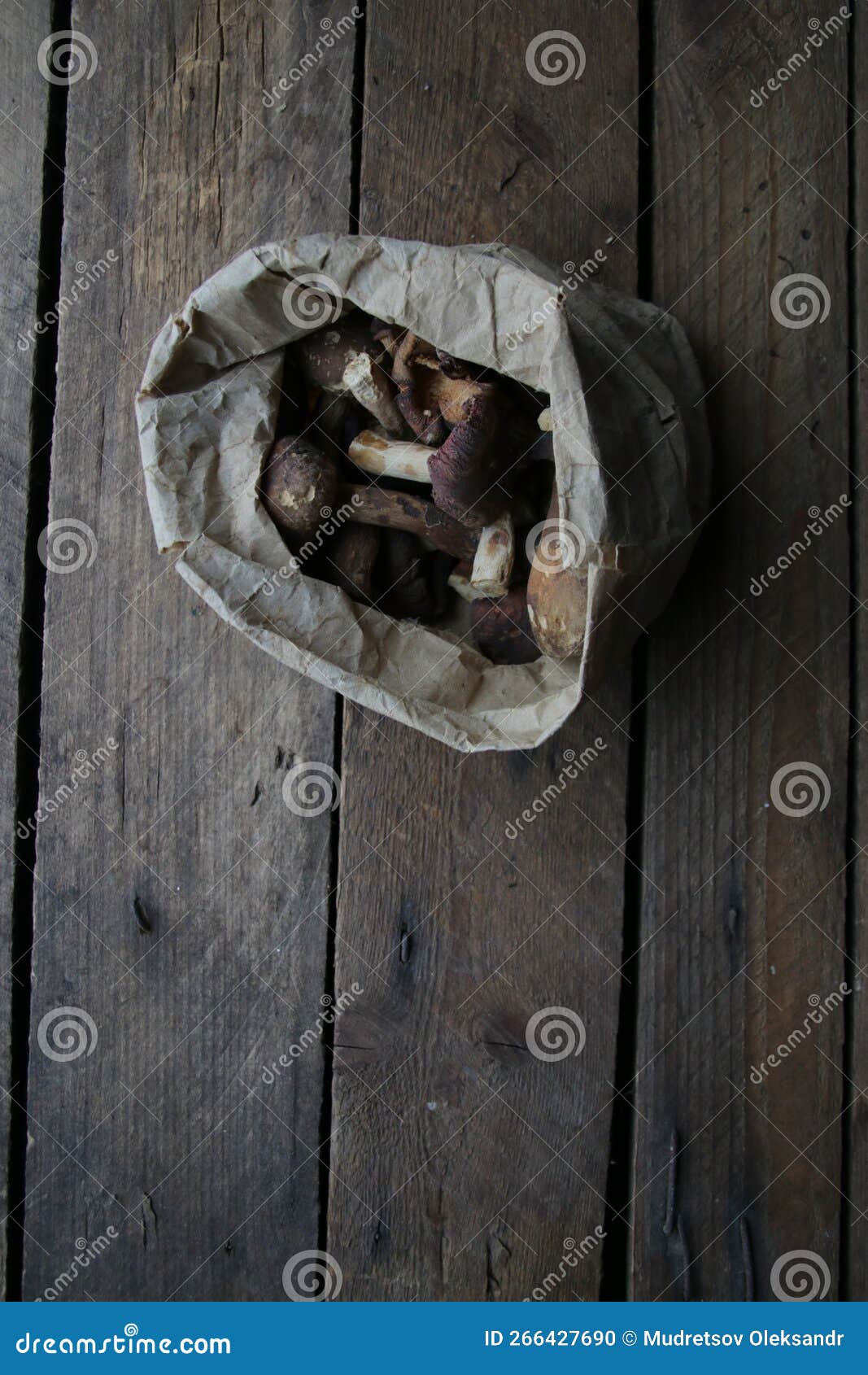 Mushrooms in a Paper Bag on a Vintage Table Stock Photo Image of meal