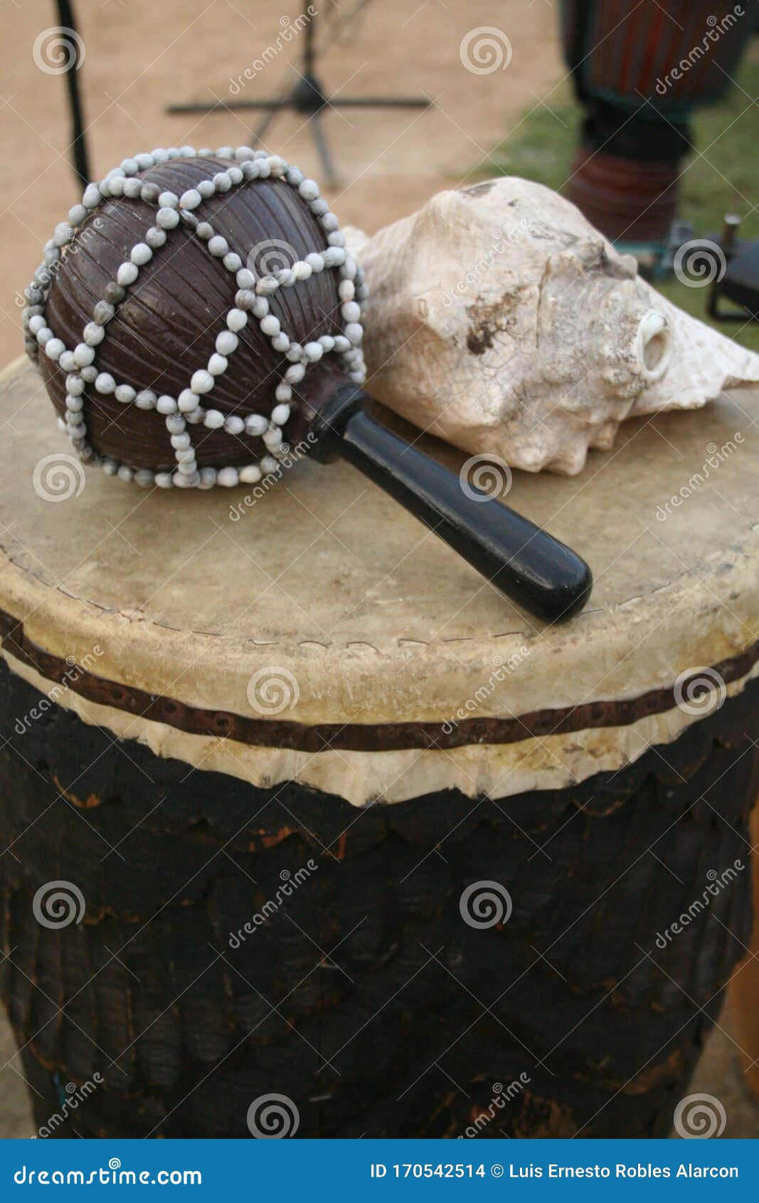 music instrument snail maraca drum prehispanic sound
