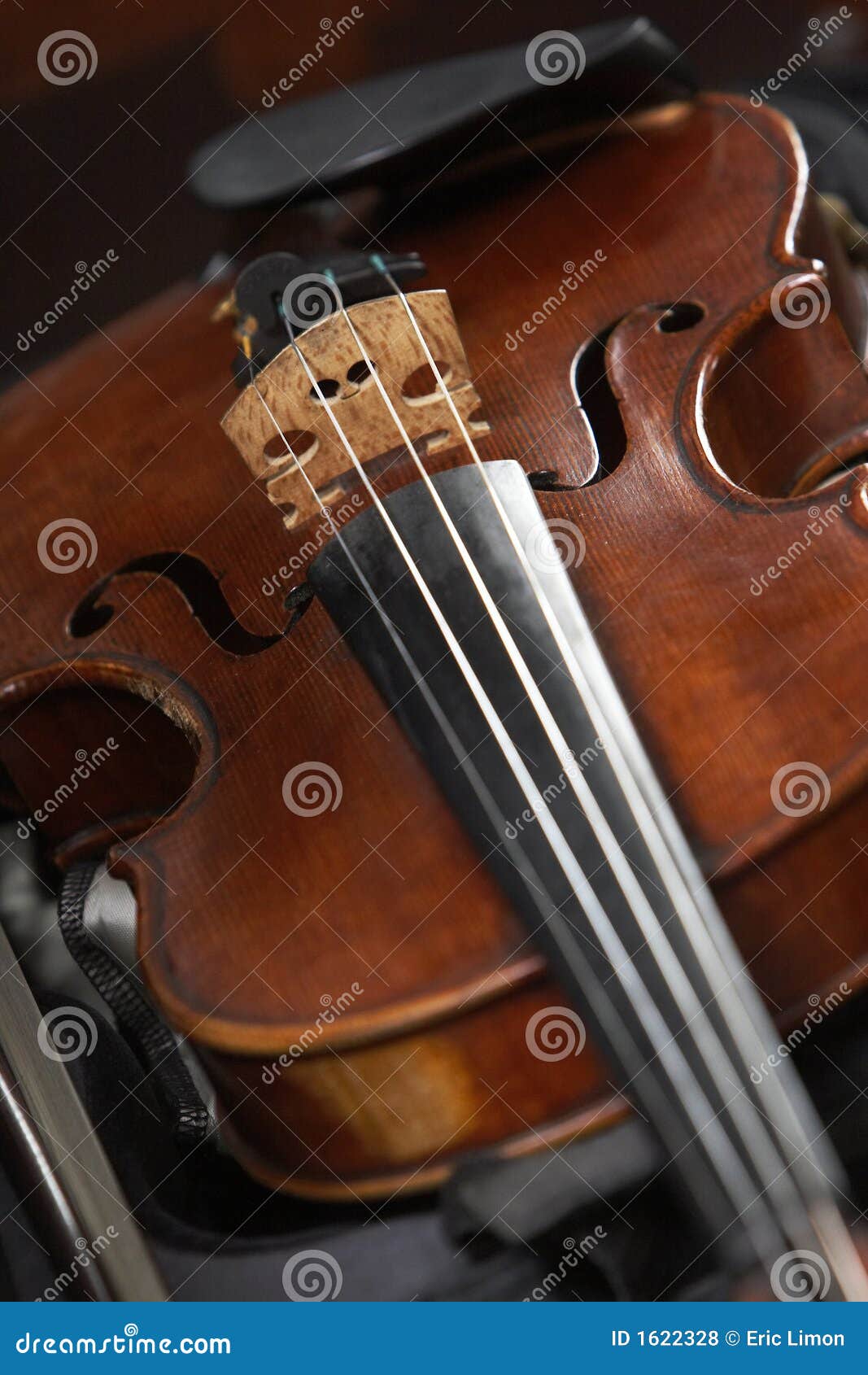 Musical instrument. Details of a violin, shallow depth of field