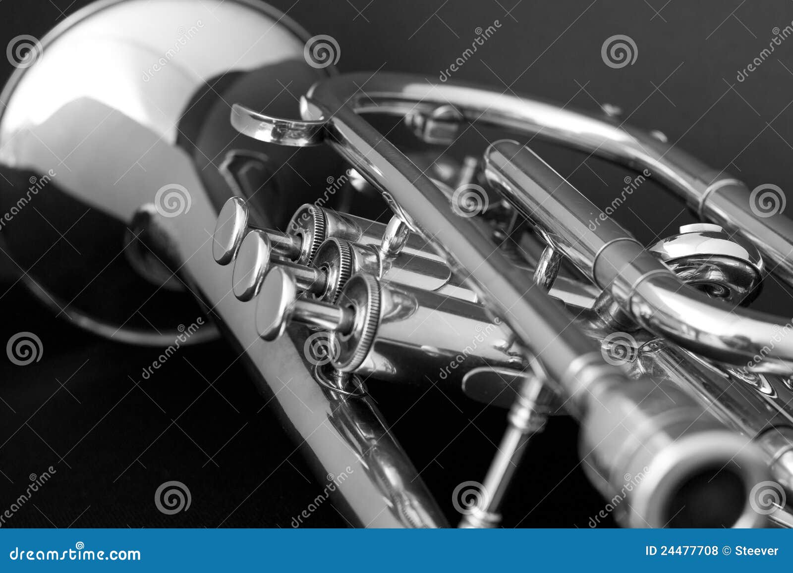 Musical stock photo. Image of plated 24477708