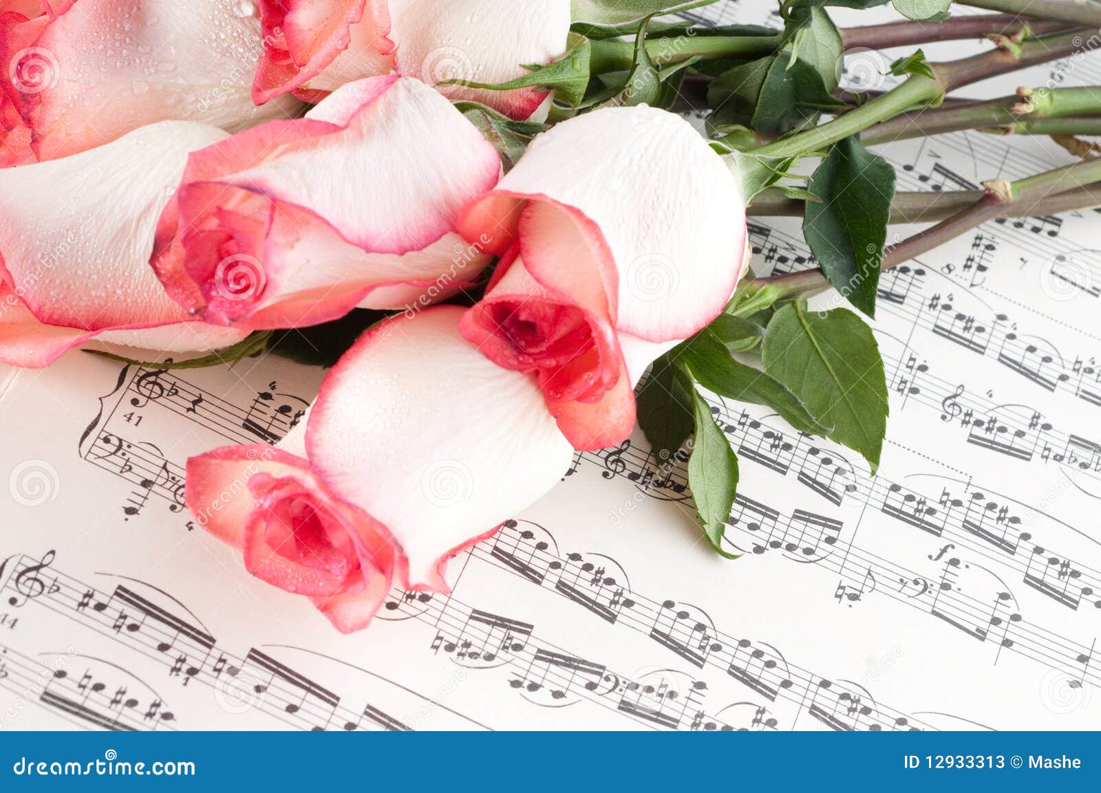 Musical sheet. stock image. Image of flower, love, song 12933313