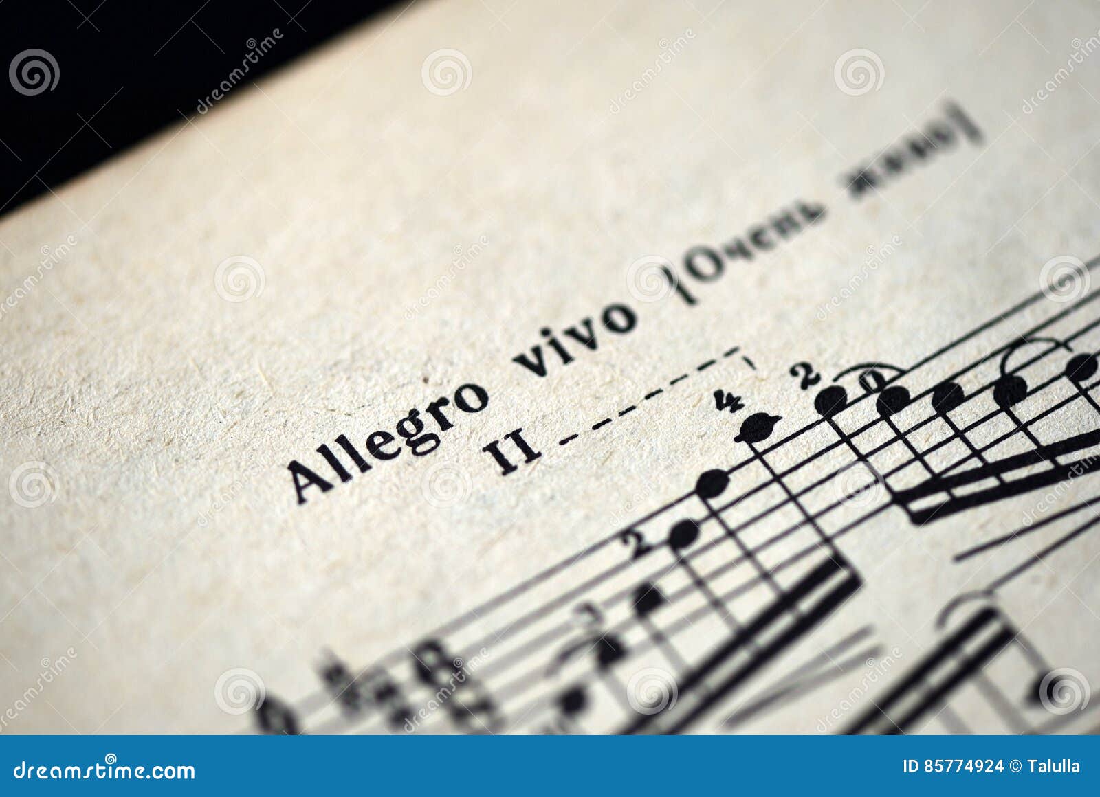 musical tempo `allegro vivo` in a music notebook