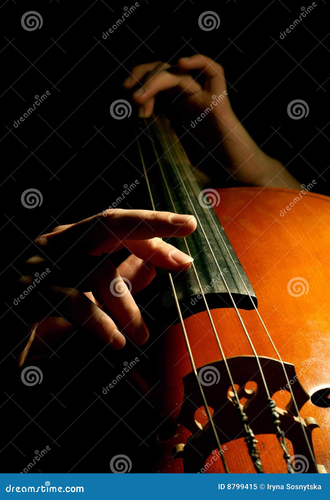 musician playing contrabass