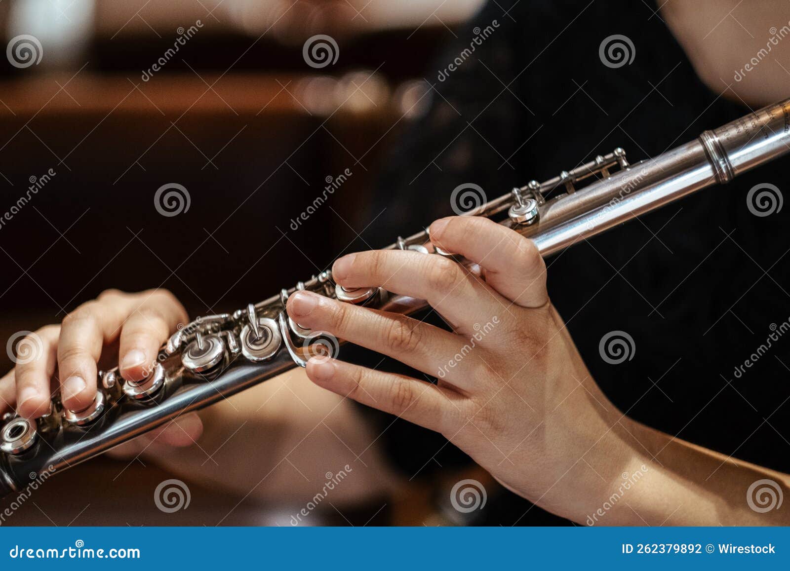 Musician Playing the Flute at a Concert Stock Photo Image of show