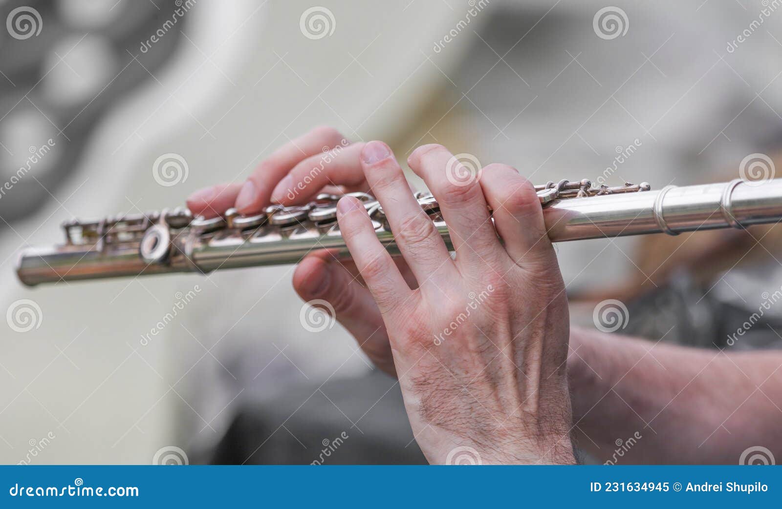 The Musician Plays the Flute. Stock Image Image of artist, harmony
