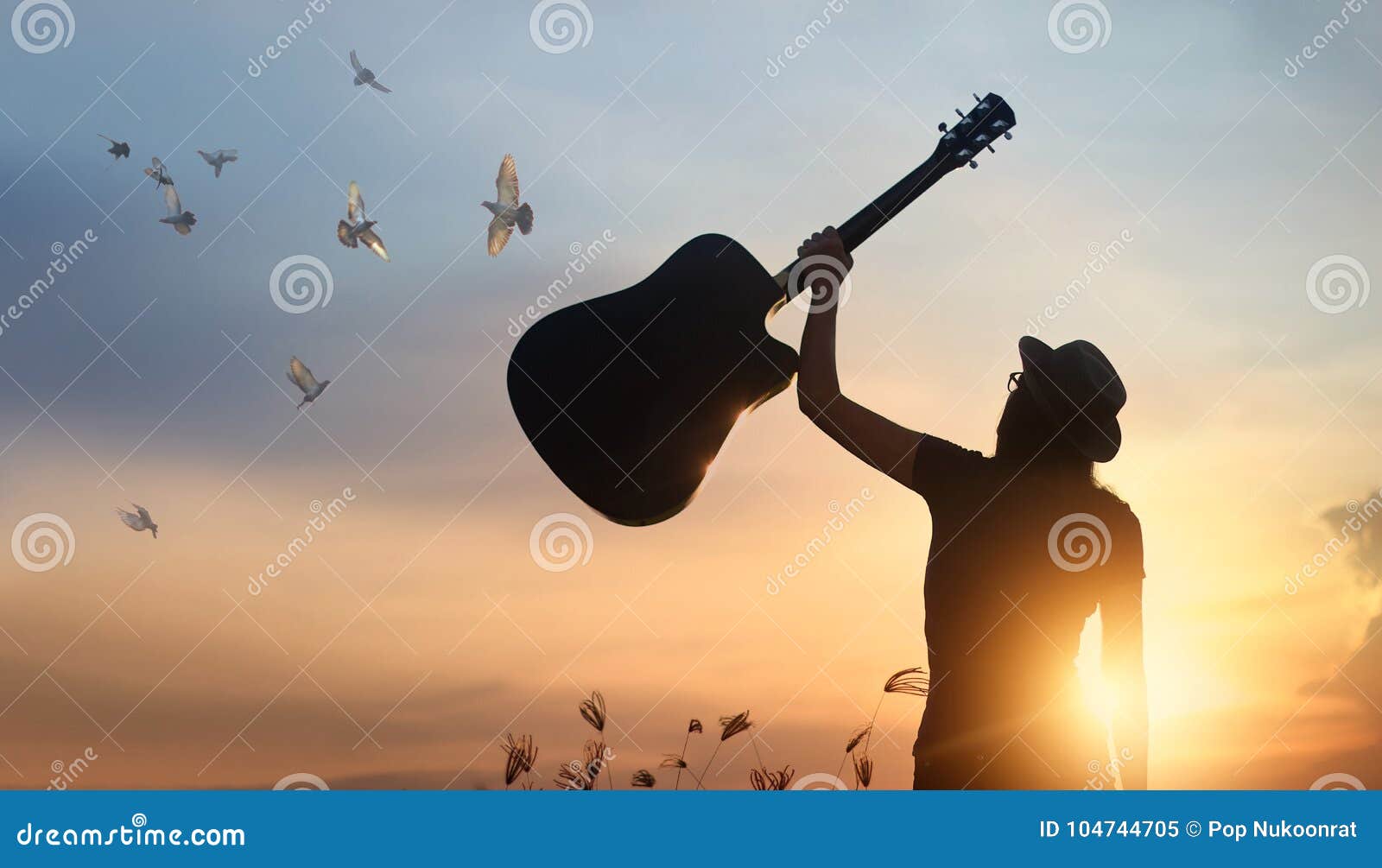 musician raising guitar over head free birds of silhouette
