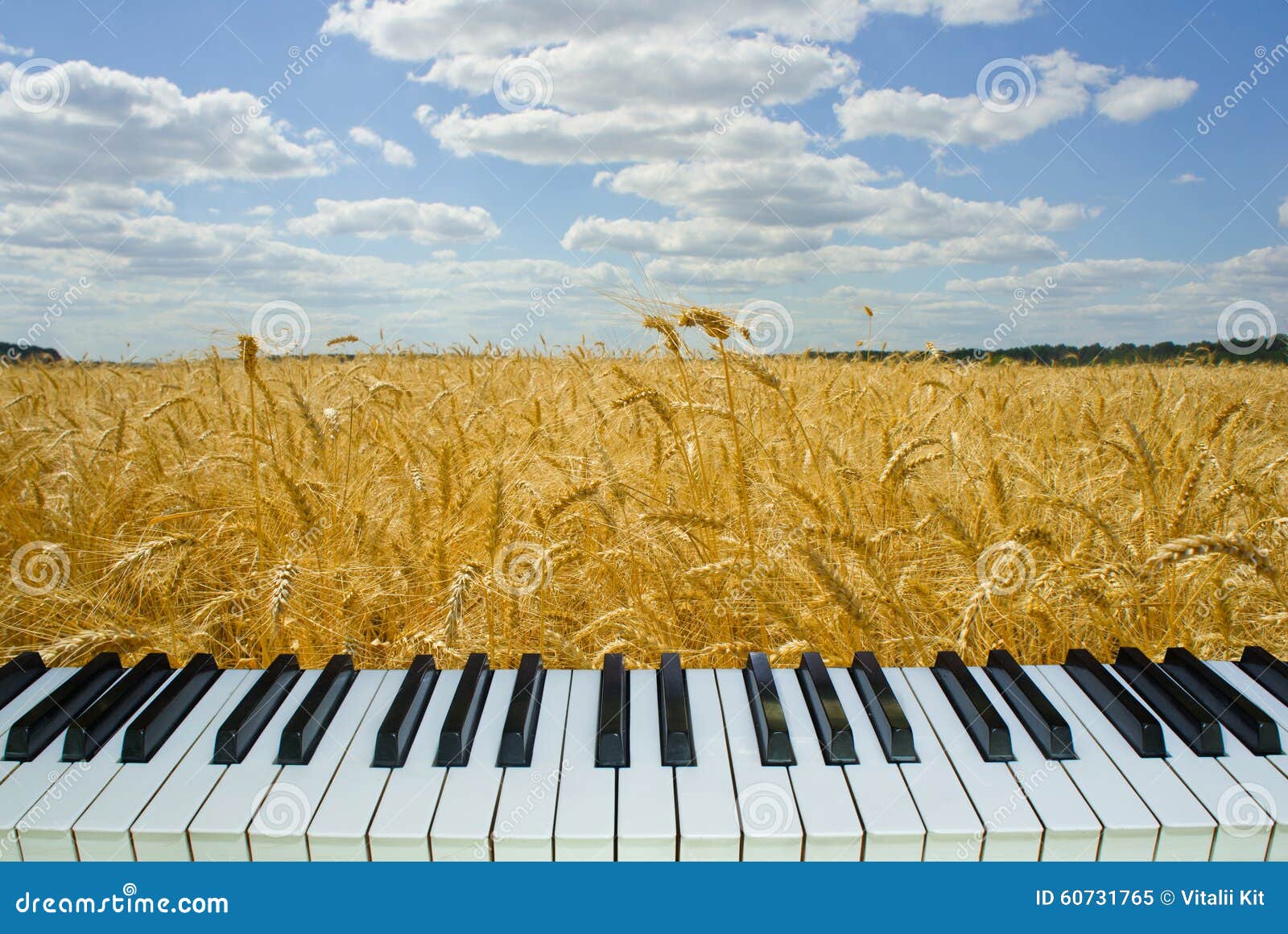 Поля саундтреки. Фортепиано на природе. Фортепиано в поле. Музыкальное поле. Пианино в поле.
