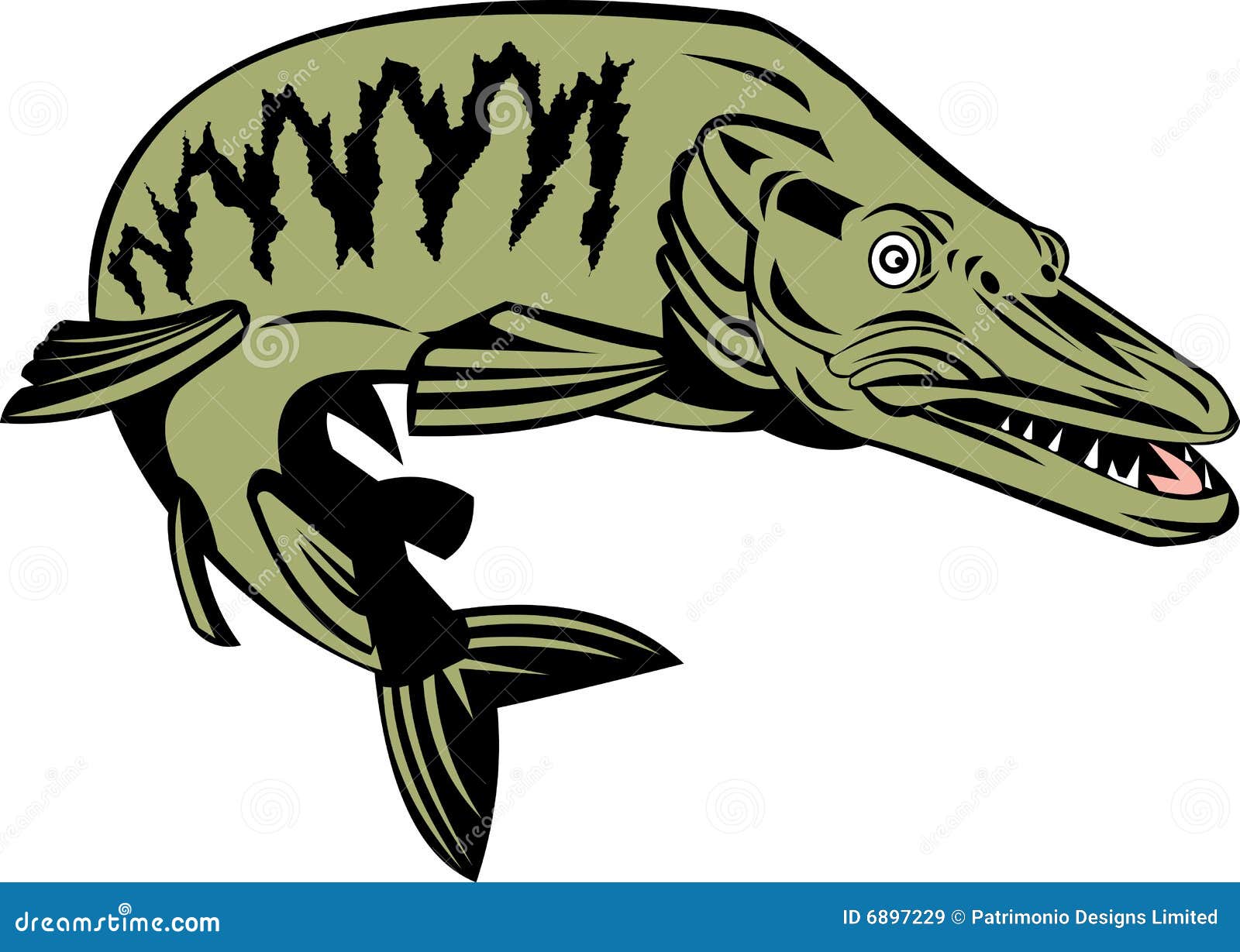 Muskie Fish Stock Illustrations – 129 Muskie Fish Stock