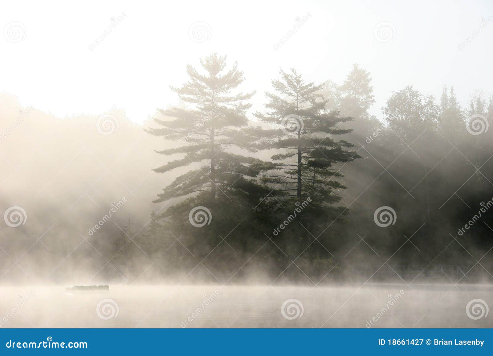 muskoka shoreline on a misty morning -