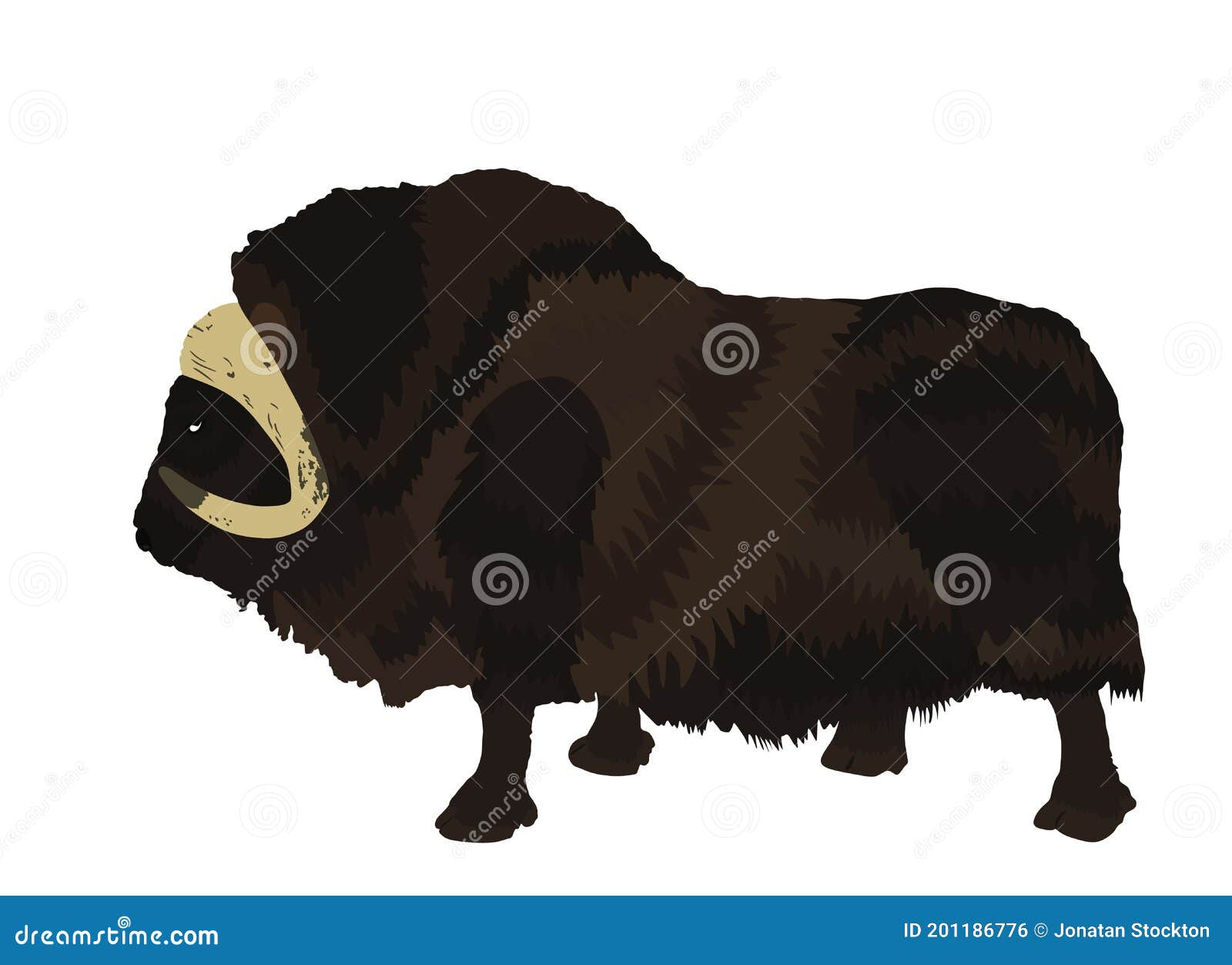 Muskox Vector Illustration Isolated on White Background. Musk Ox Beef Stock Vector - Illustration of greenland, mountain: 201186776 Muskox Vector Illustration Isolated on White Background. Musk Ox Beef Stock Vector - Illustration of greenland, mountain: 201186776