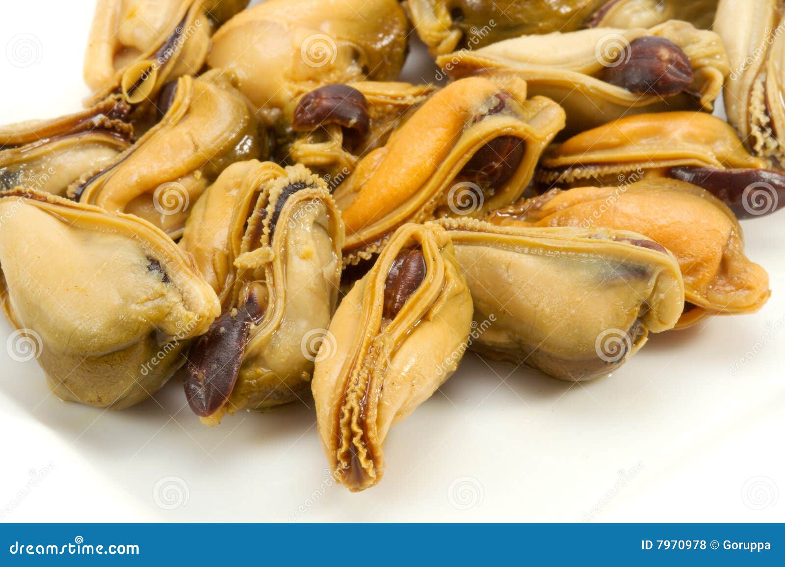 themes photography group Mussel Image: Photos Royalty  Free  Stock 7970978