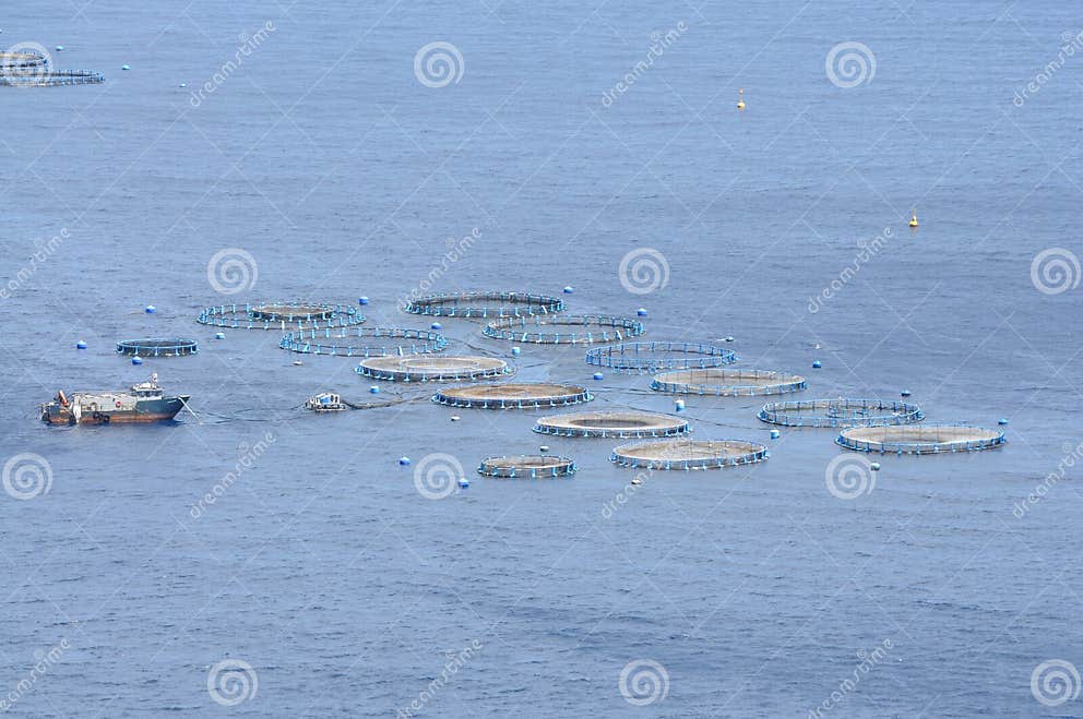 Mussel farm stock photo. Image of spain, mussel, industry 11438808