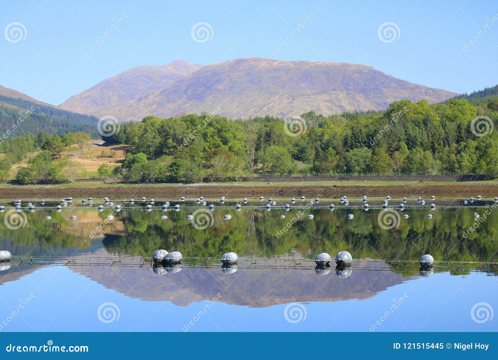 Mussel farm in sea loch stock image. Image of mountains - 121515445