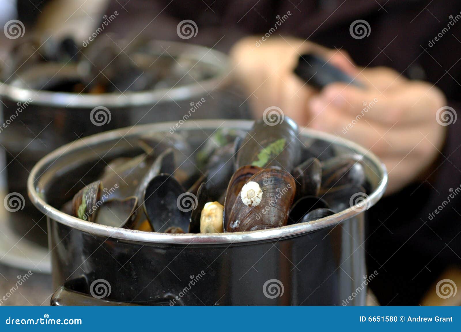 mussel feast