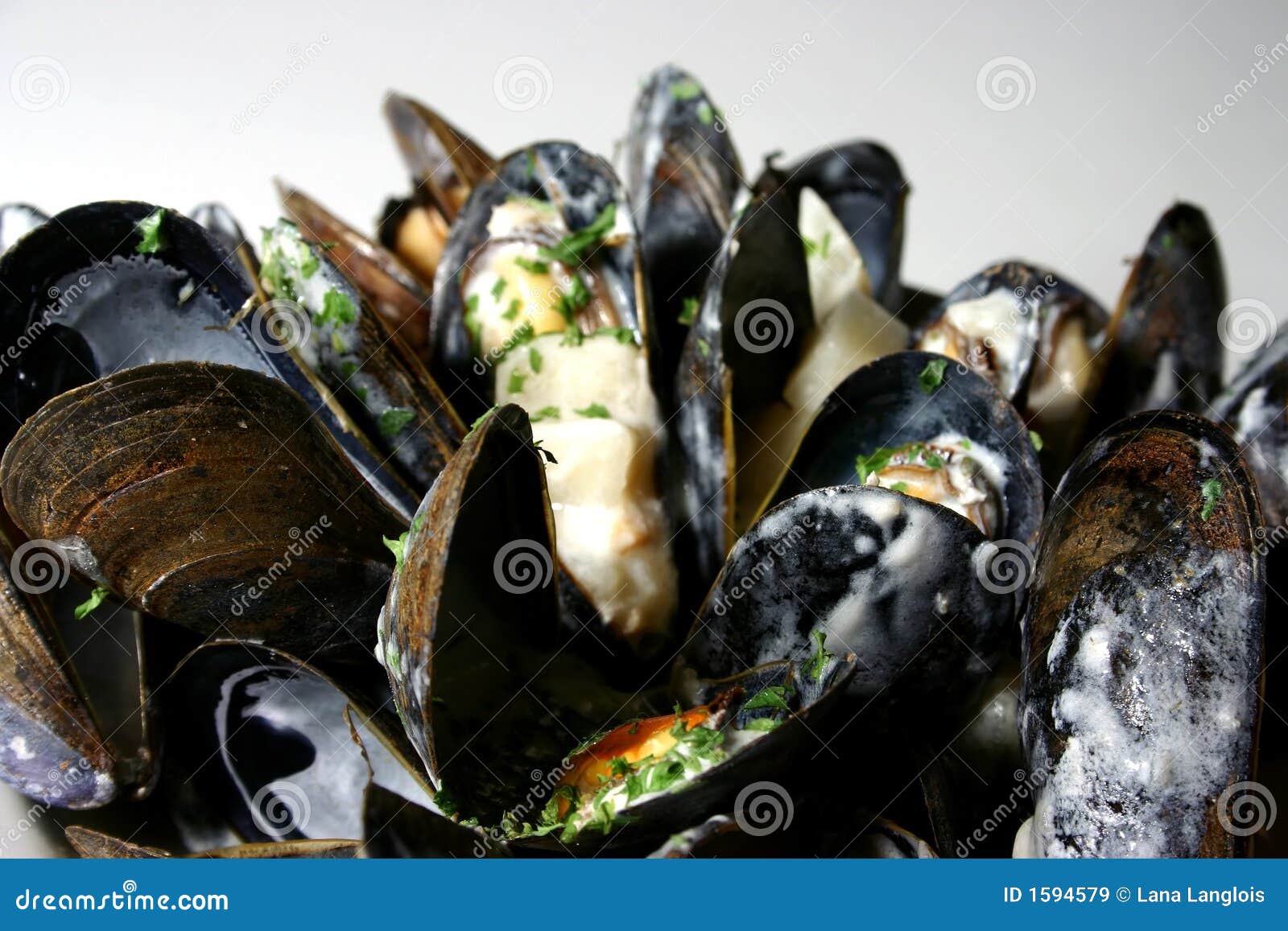 Mussels stock image. Image of starter, black, clamshell 1594579