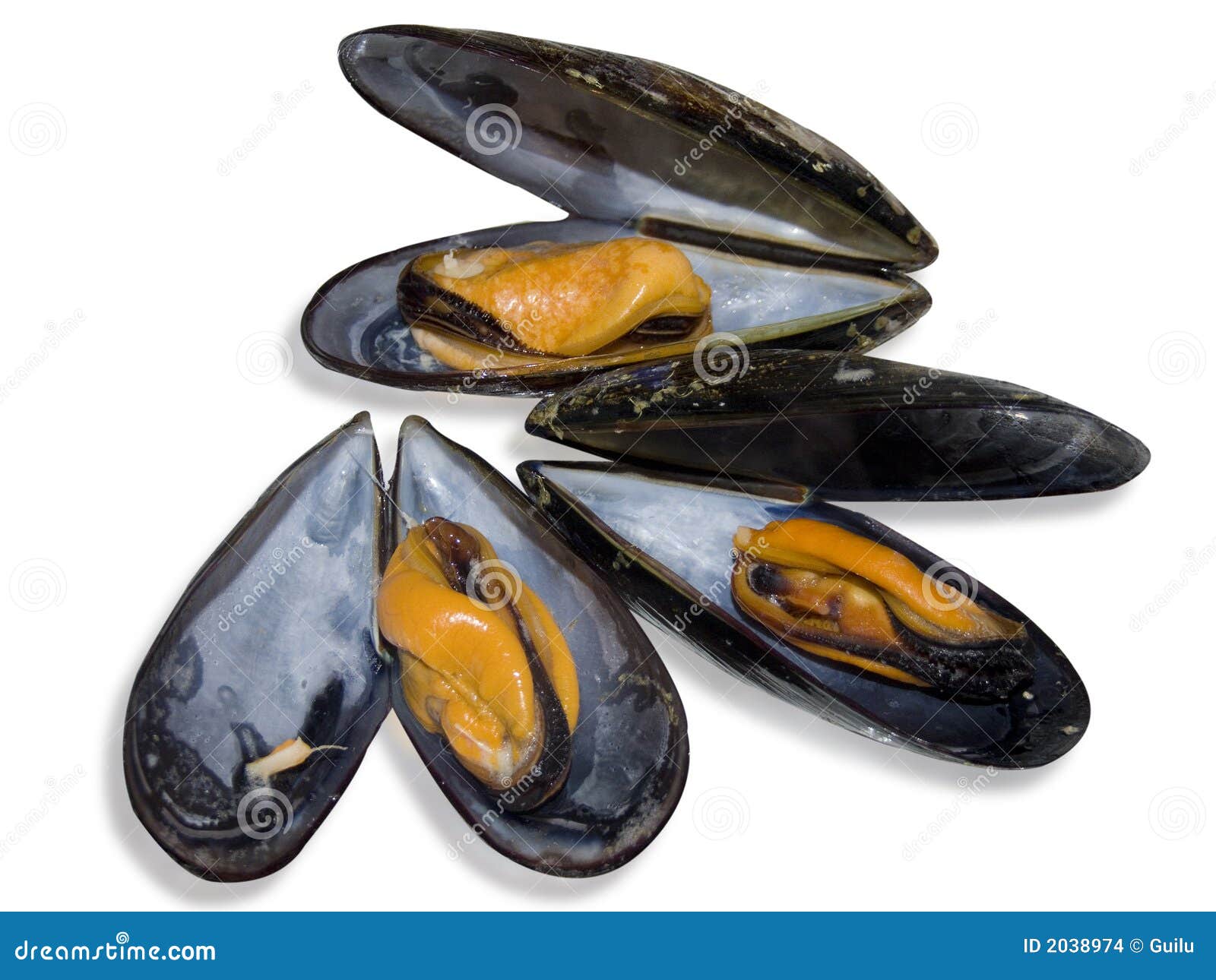 Mussels stock photo. Image of fish, ocean, taste, mussels 2038974