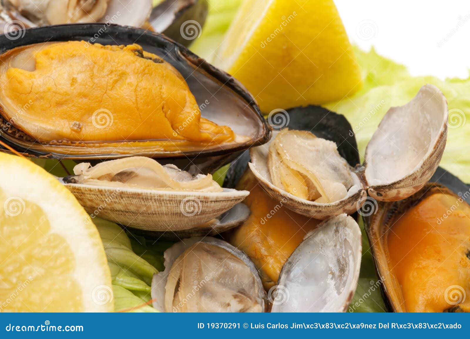 Mussels and clams stock image. Image of isolated, paella 19370291