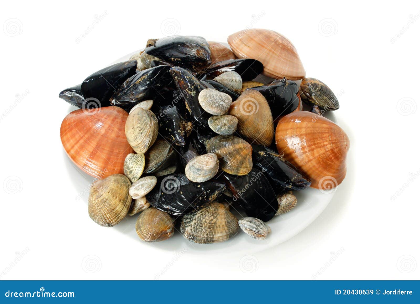 Mussels and clams stock image. Image of product, plenty 20430639
