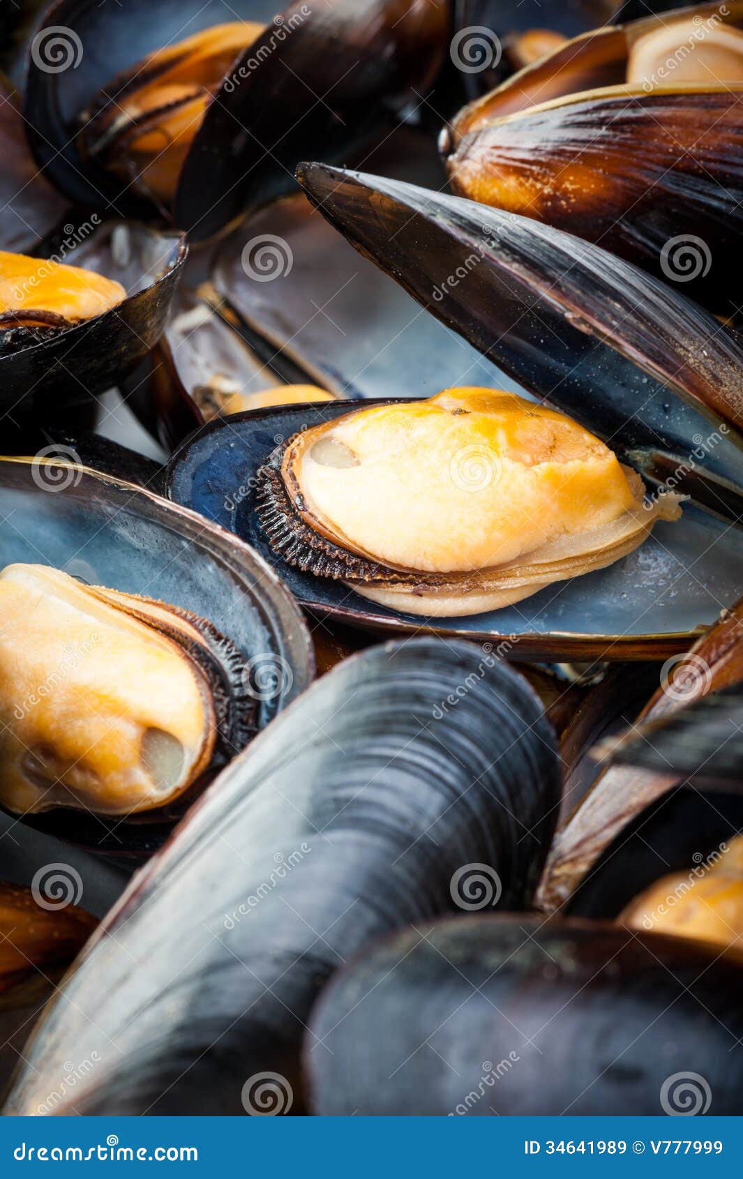 Mussels stock image. Image of blue, food, group, eating 34641989