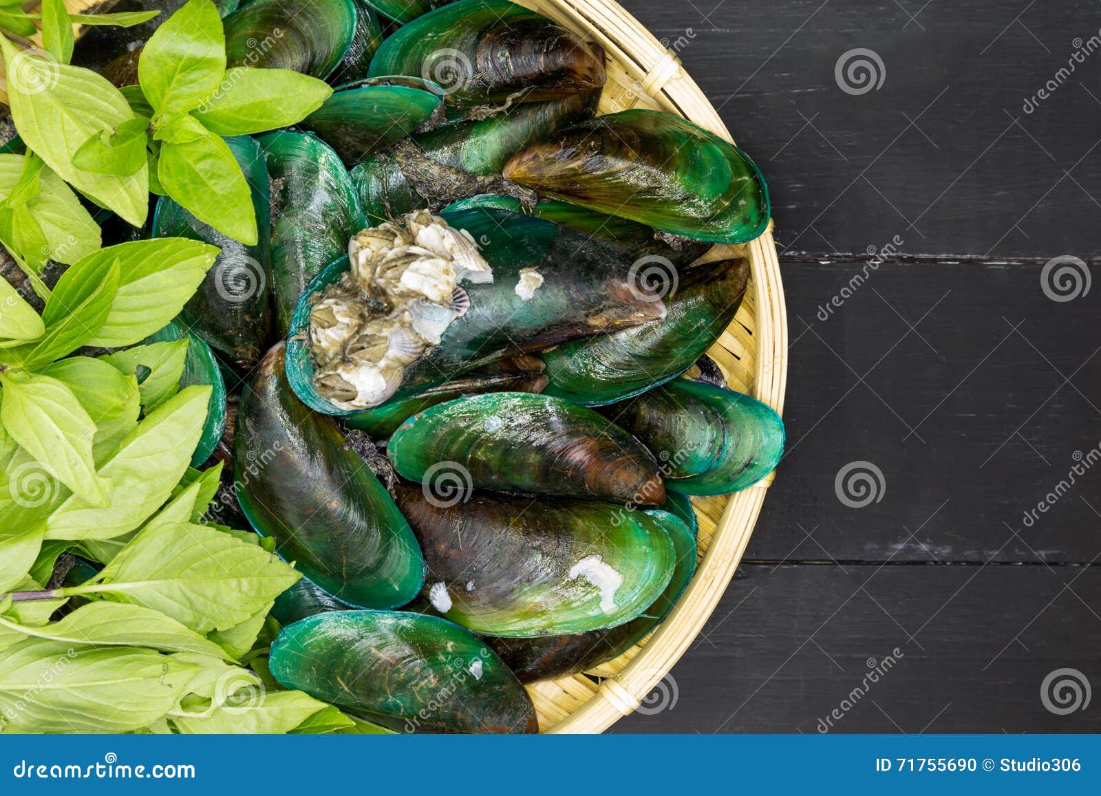 Mussels stock photo. Image of asian, freshness, ingredient 71755690