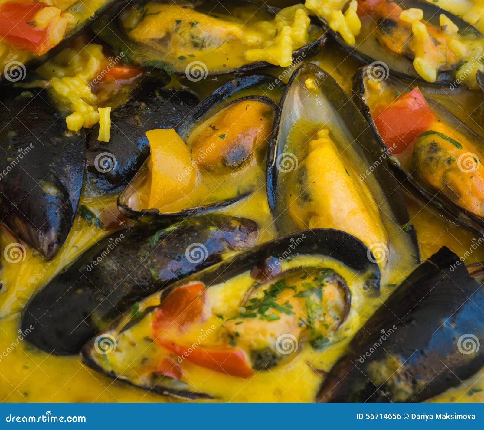 Mussels in Lemonmustard Sauce Stock Photo Image of dish, fresh 56714656