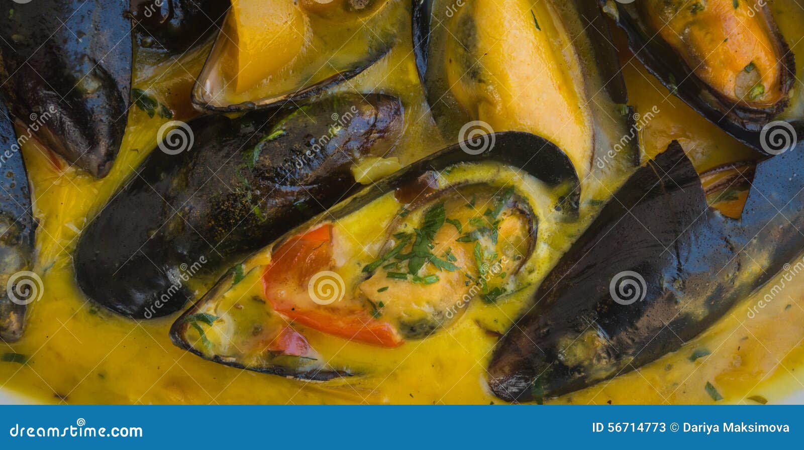 Mussels in Lemonmustard Sauce Stock Image Image of food, life 56714773