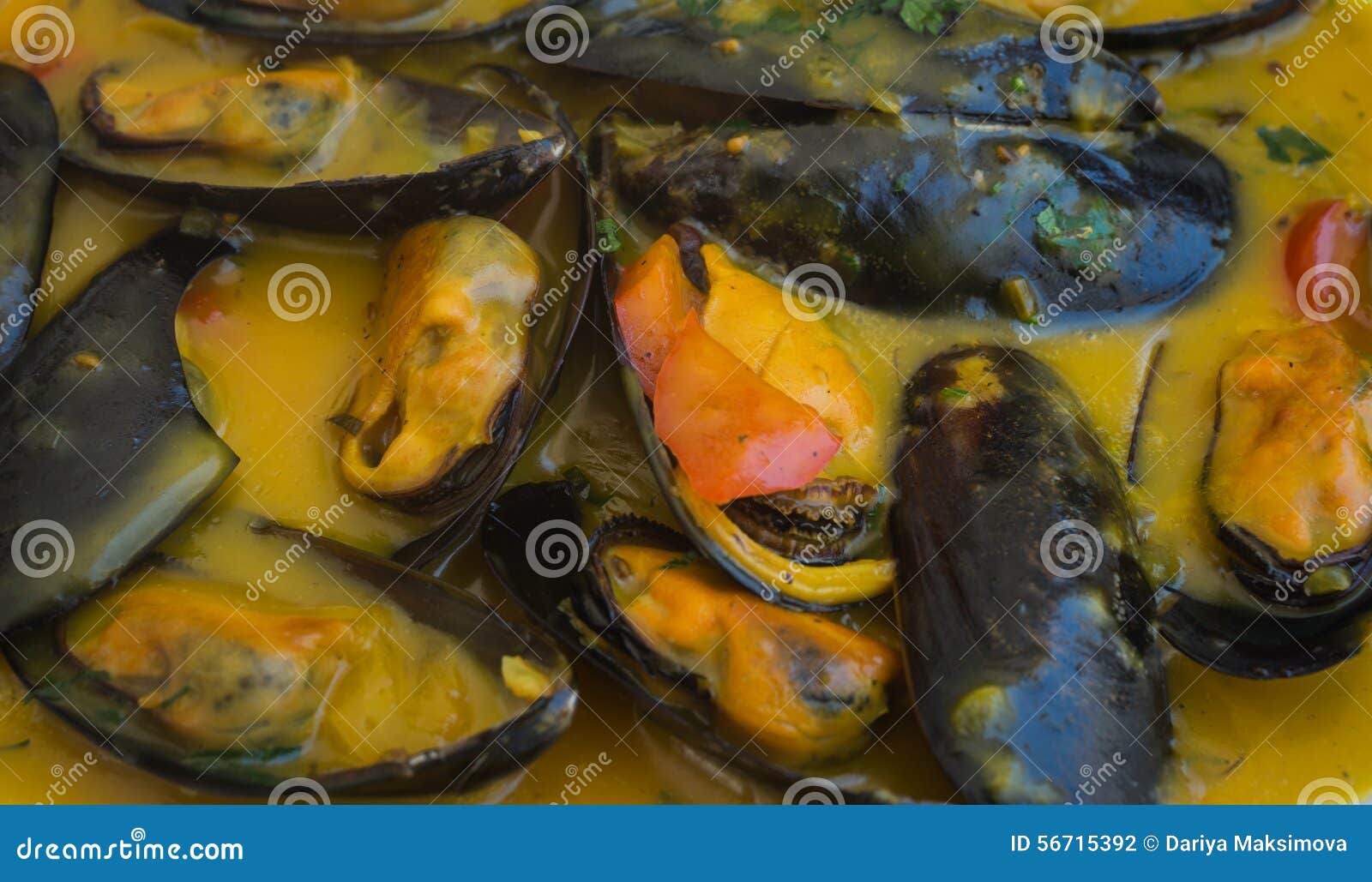 Mussels in Lemonmustard Sauce Stock Photo Image of cook, gourmet