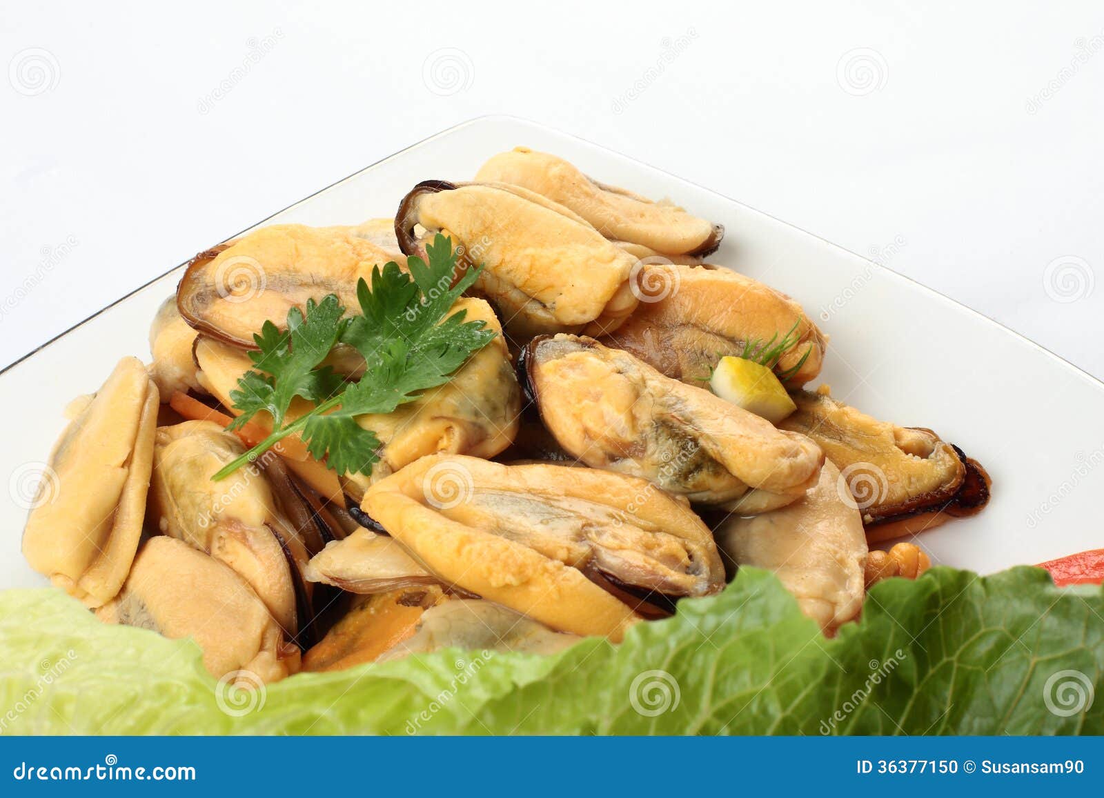Mussels meat stock photo. Image of medical, aphrodisiac 36377150