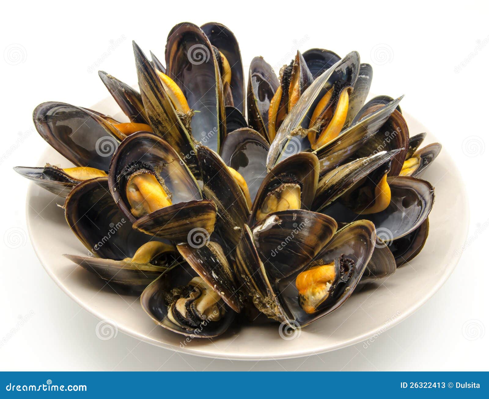 Mussels in the shell stock image. Image of mussel, diet 26322413
