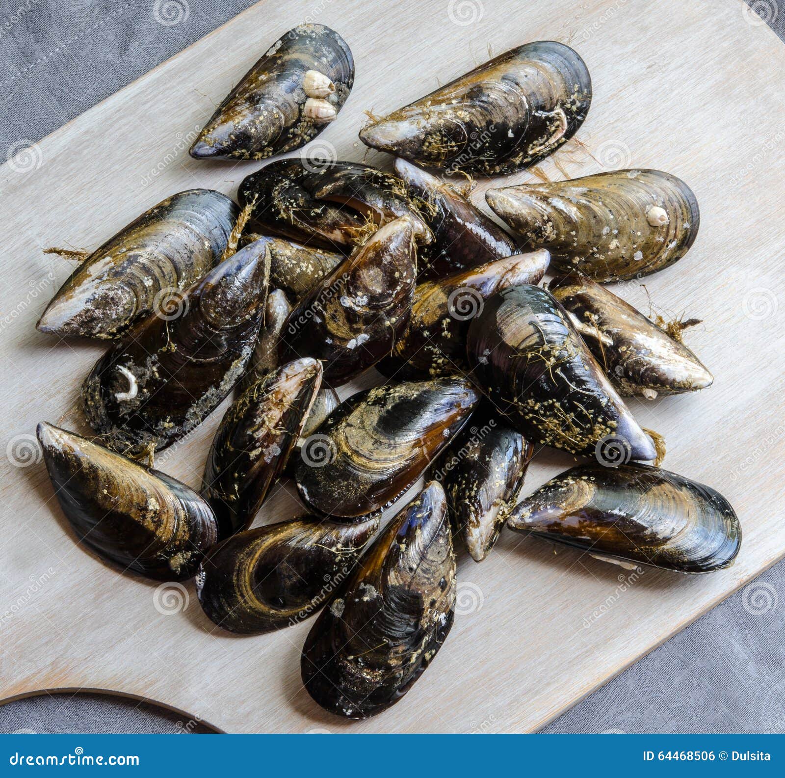 Mussels in the shell stock photo. Image of fish, nutrition 64468506