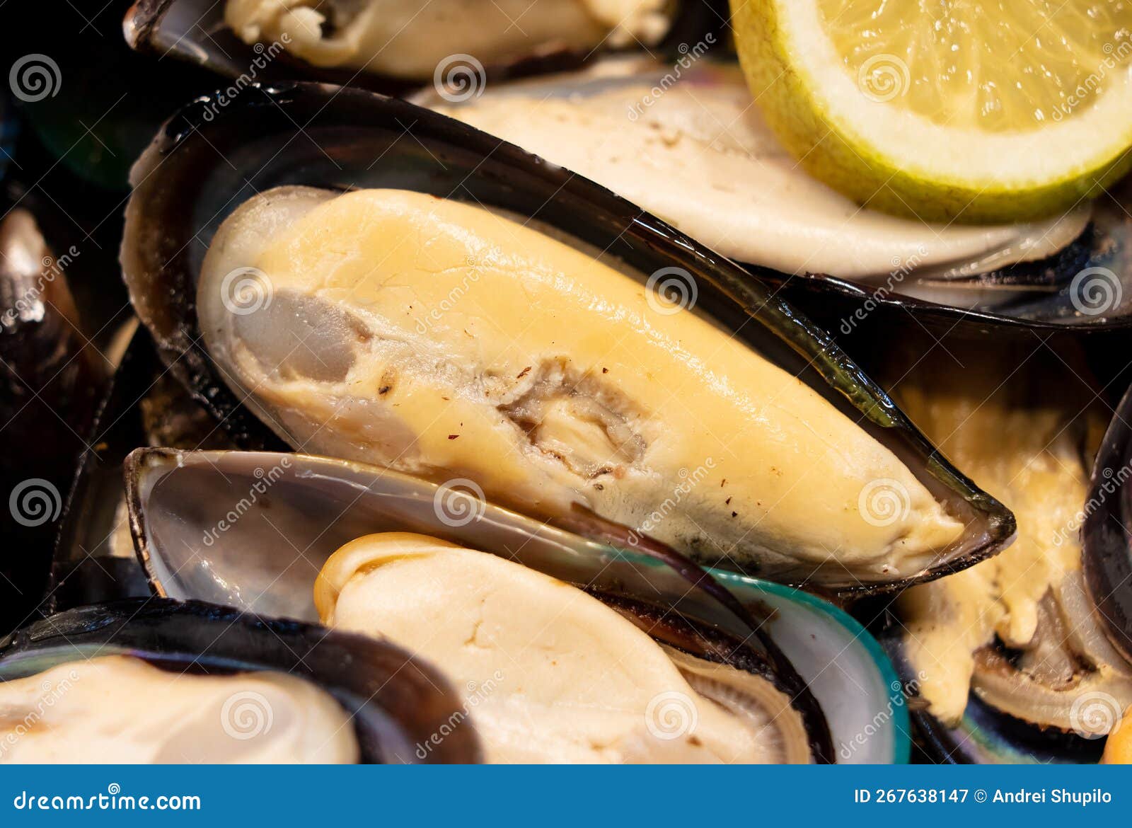 Mussels in a Shell in a Restaurant. Stock Image Image of nutrition