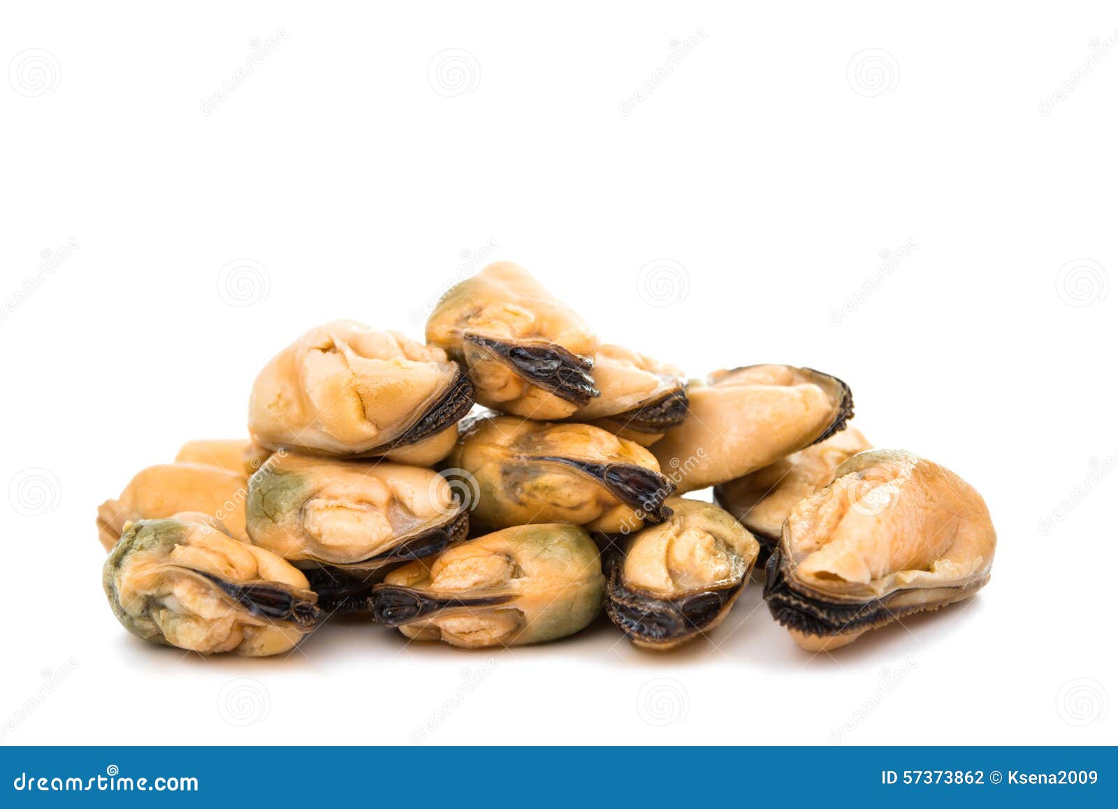 Mussels stock photo. Image of ocean, nutrition, shellfish 57373862