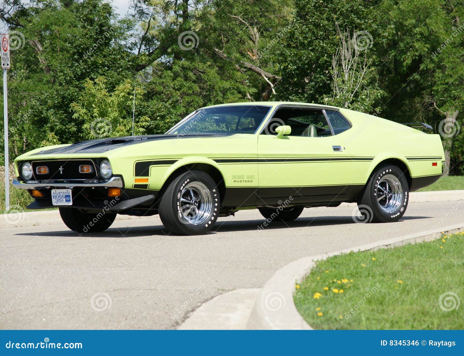 Mustang editorial photo. Image of exposition, green, auto - 8345346