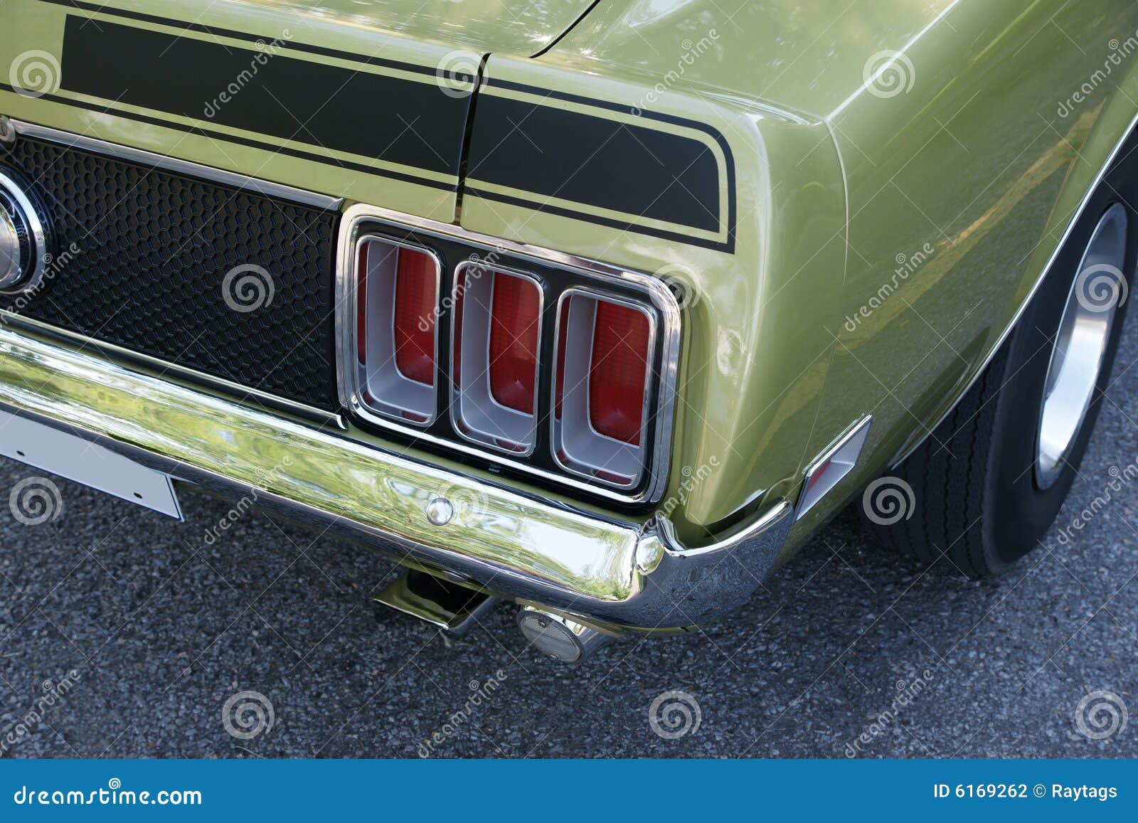 Mustang Mach1 Rear End Stock Photo Image Of Collage Fastback 6169262