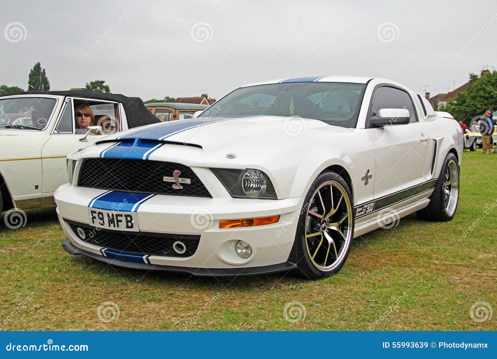 Ford Shelby Cobra GT500 Mustang Imagem de Stock Editorial - Imagem de  mustang, alimentado: 55993639, image size:1600x1157