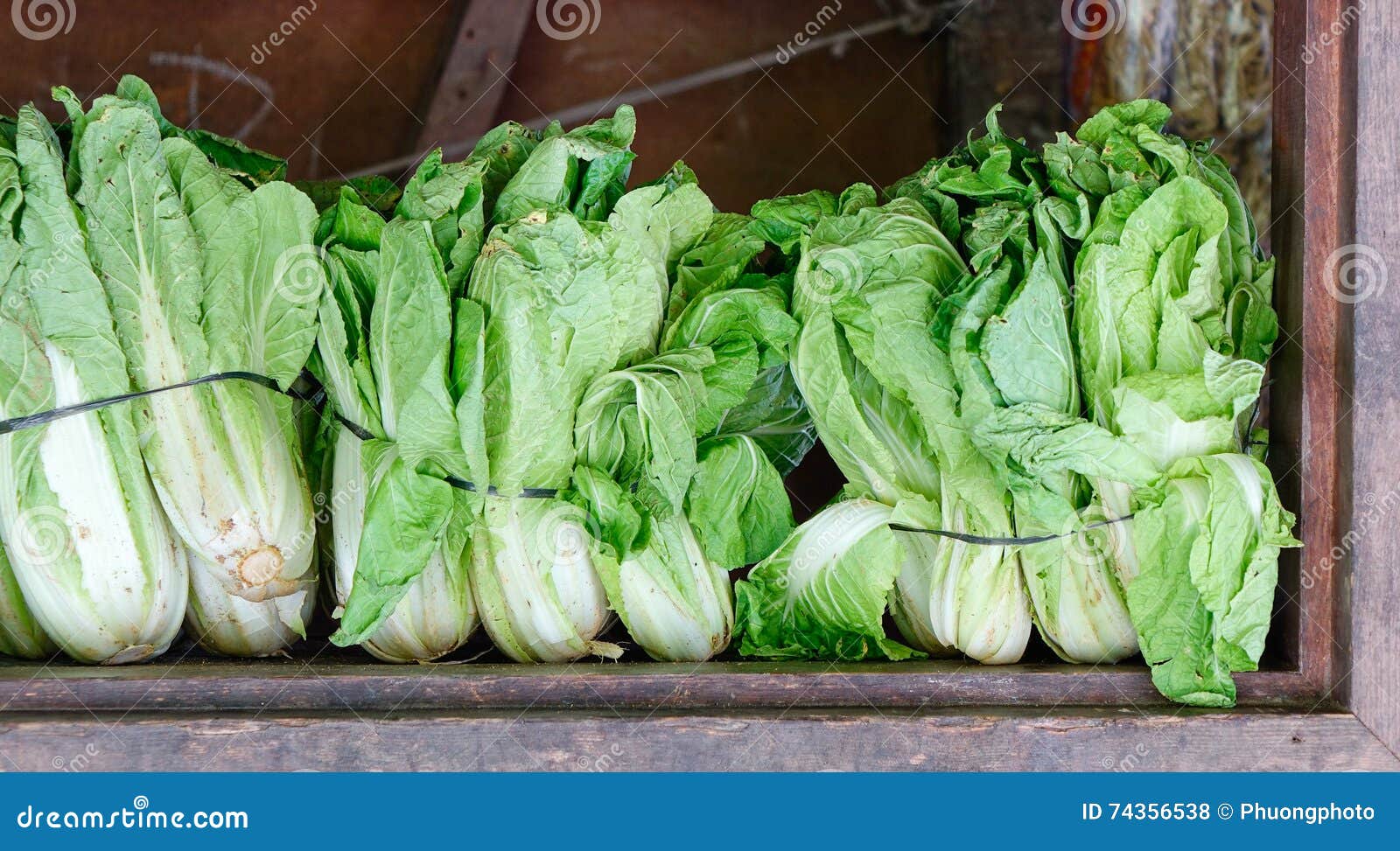 Mustard Greens for sale stock photo. Image of odaiba 74356538