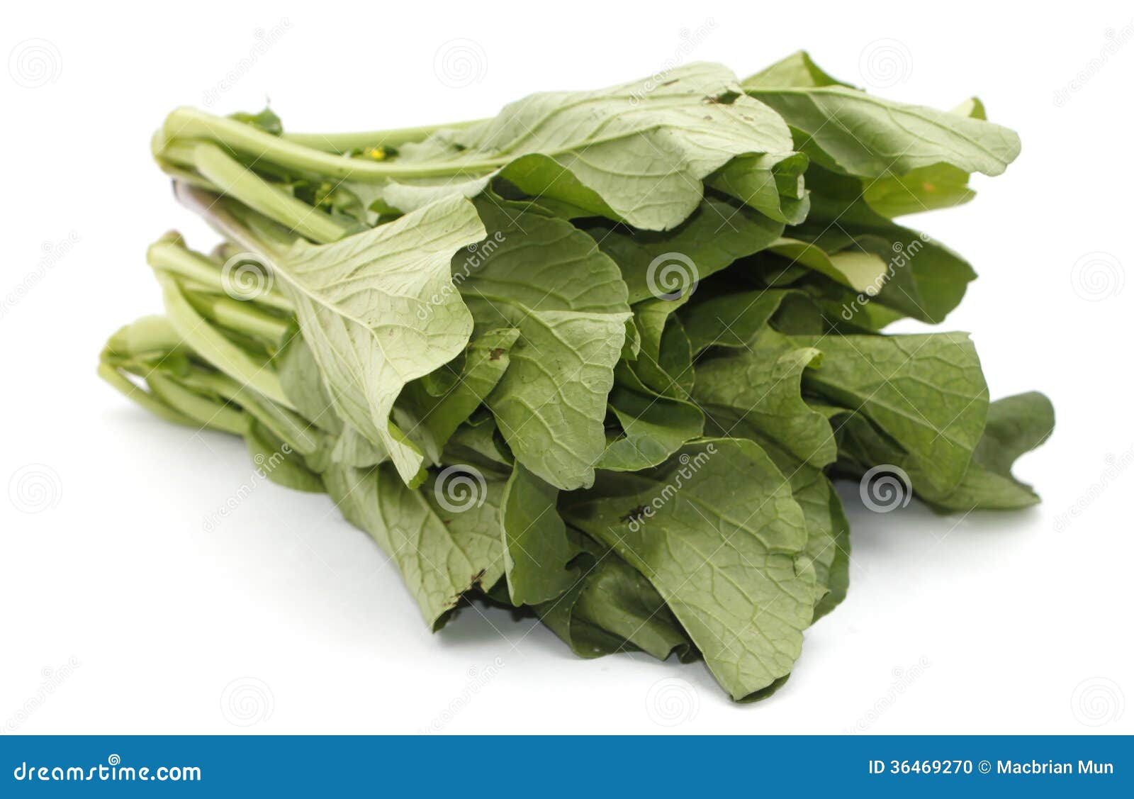 Mustard Greens Vegetable Over White Stock Photo Image of ingredient