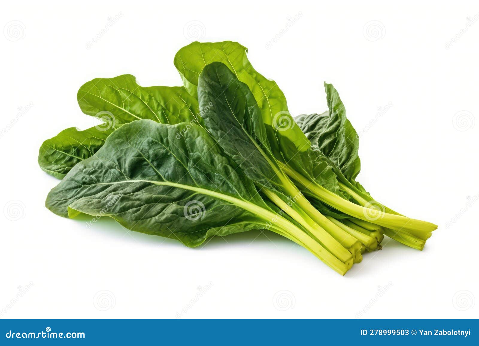 Mustard Greens on a White Background. Generative AI Stock Illustration