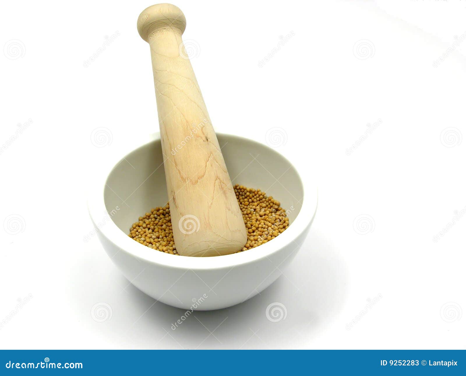 Mustard seed stock image. Image of dried, spice, nutrition 9252283